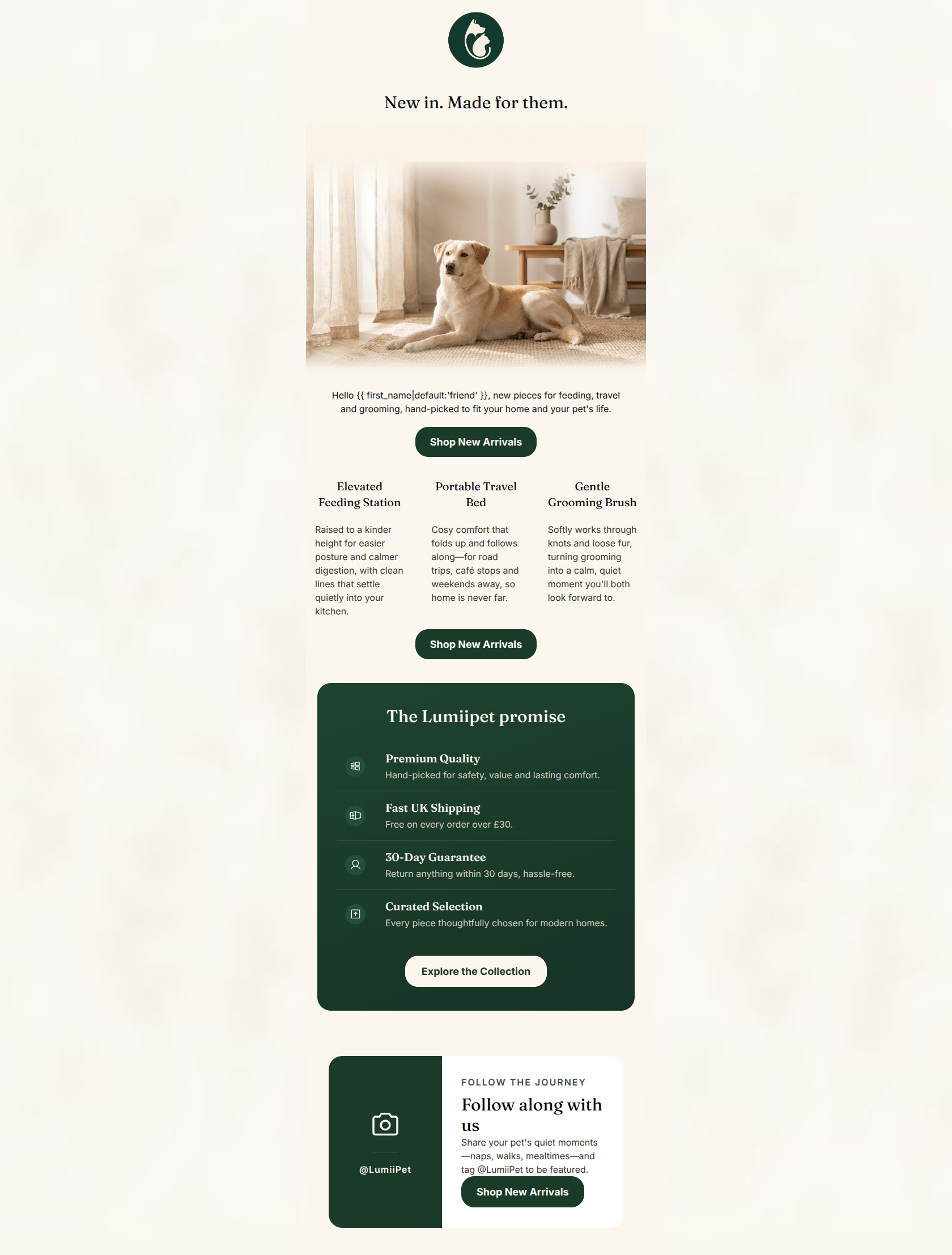 Email design: New arrivals, thoughtfully chosen for them