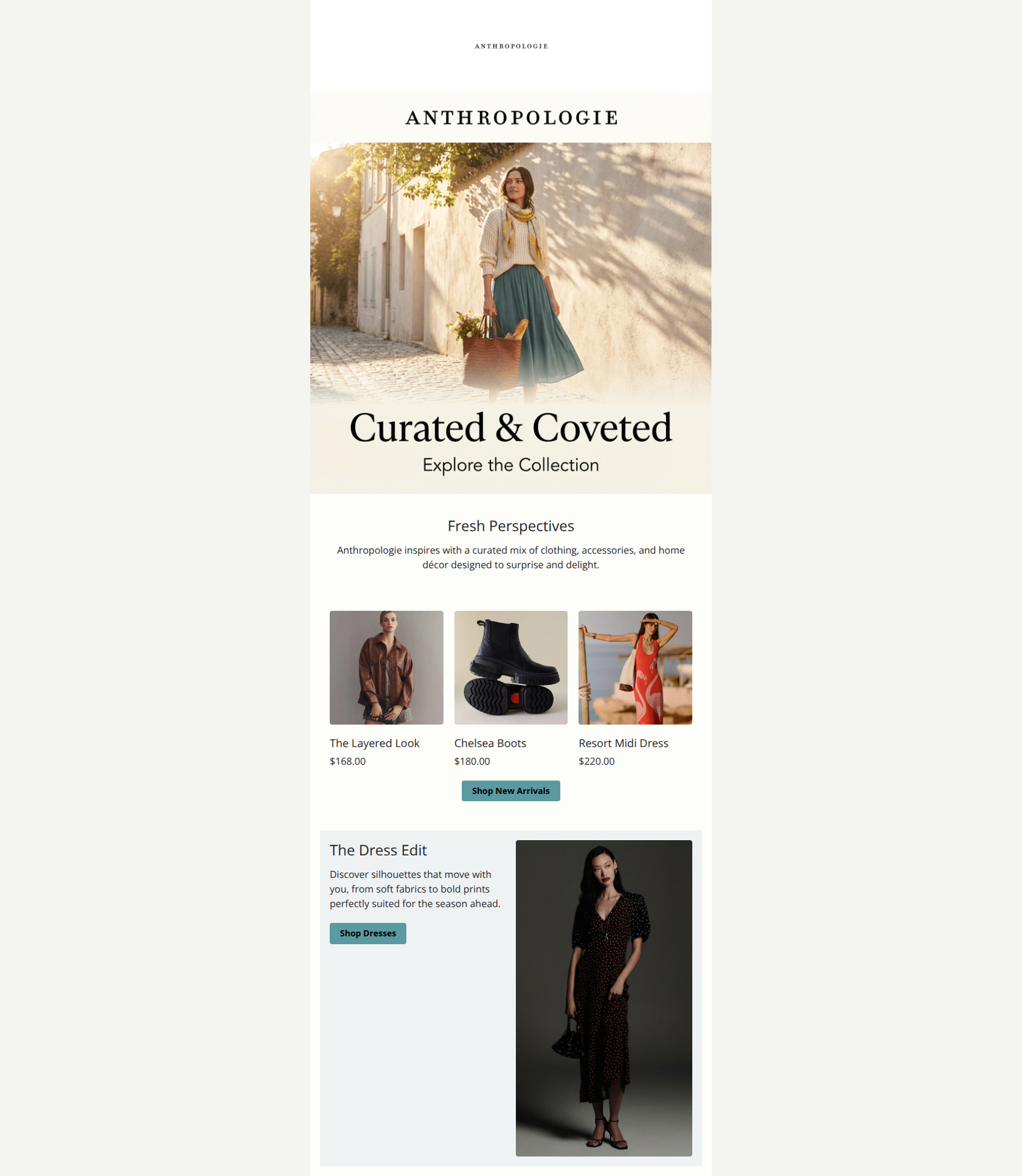 Email design: Just In: Fresh Finds You’ll Love