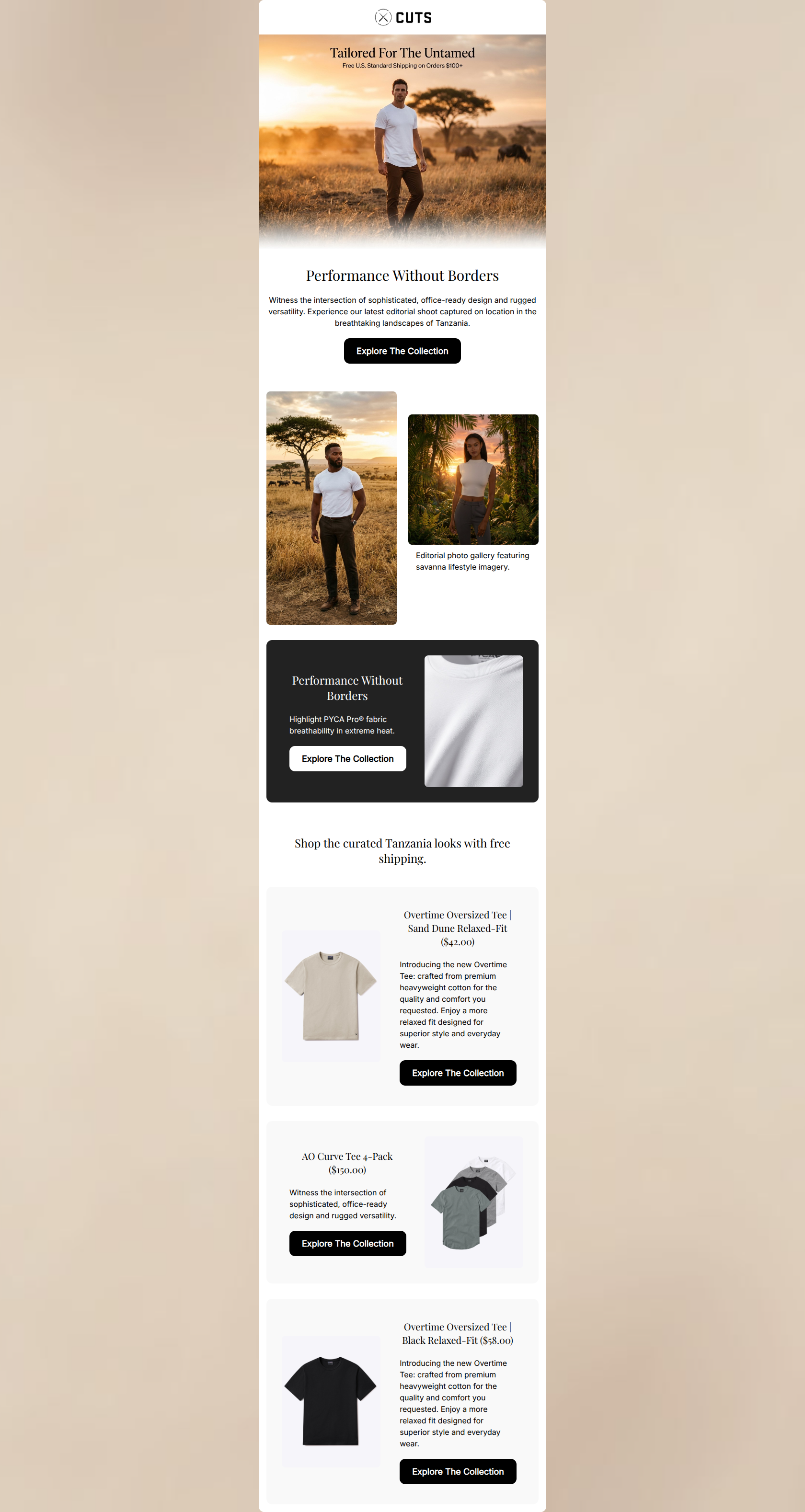 Email design: Performance Without Borders: The Tanzania Editoria