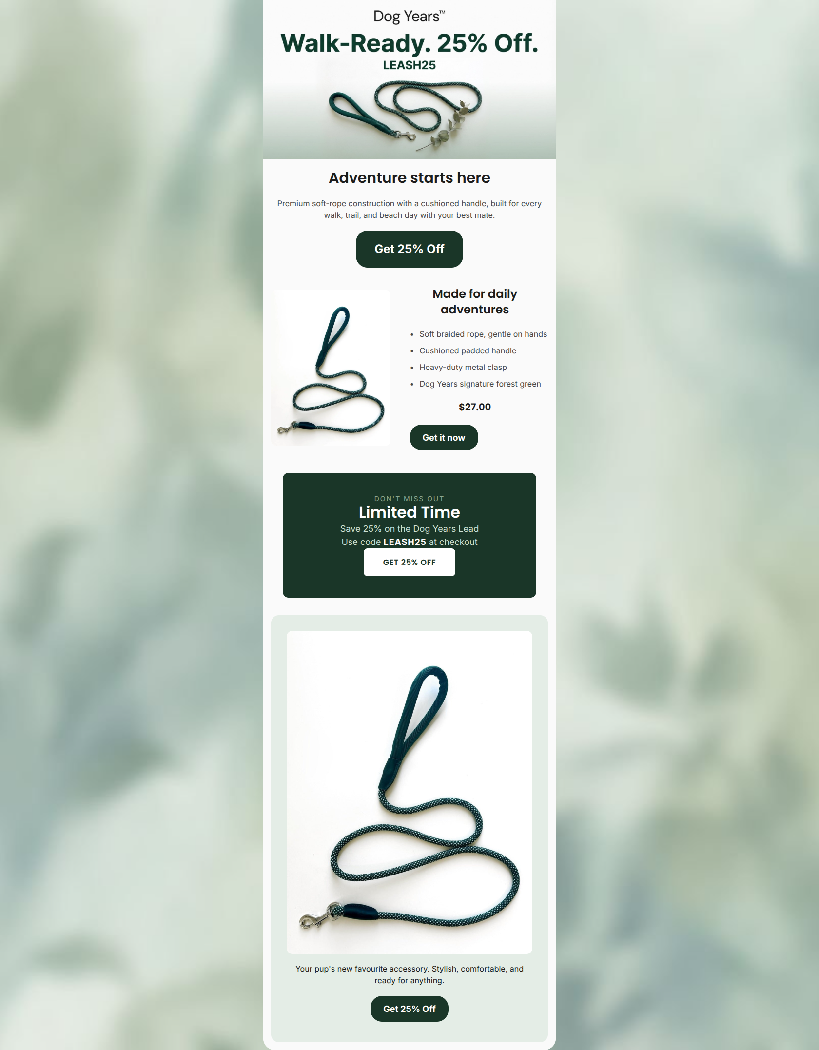 Email design: Your new walking partner, 25% off