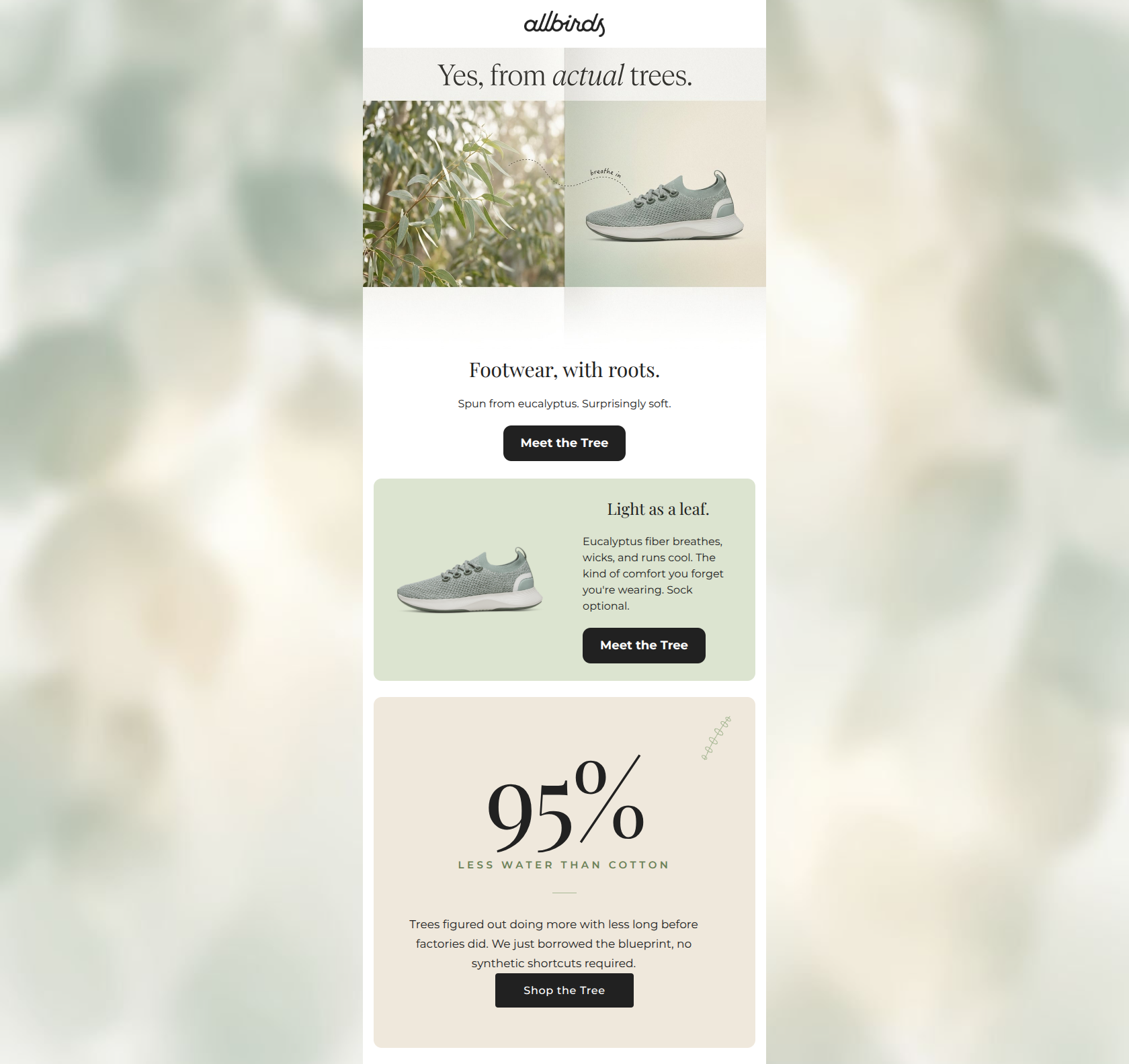 Email design: Why we make shoes out of trees
