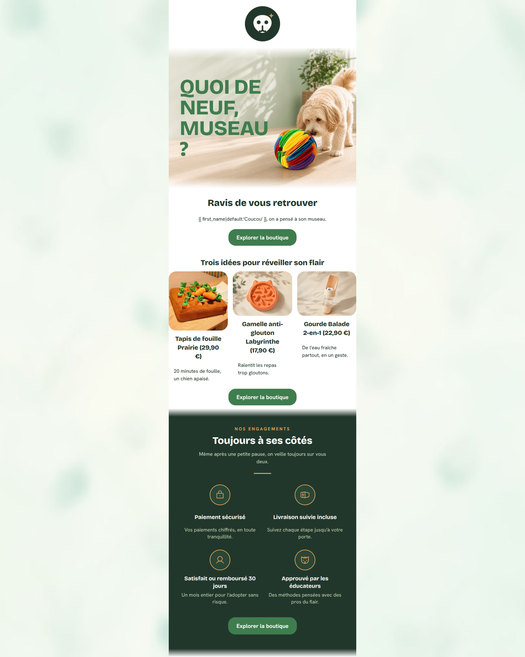Email design: Quoi de neuf pour son museau ? 🐾