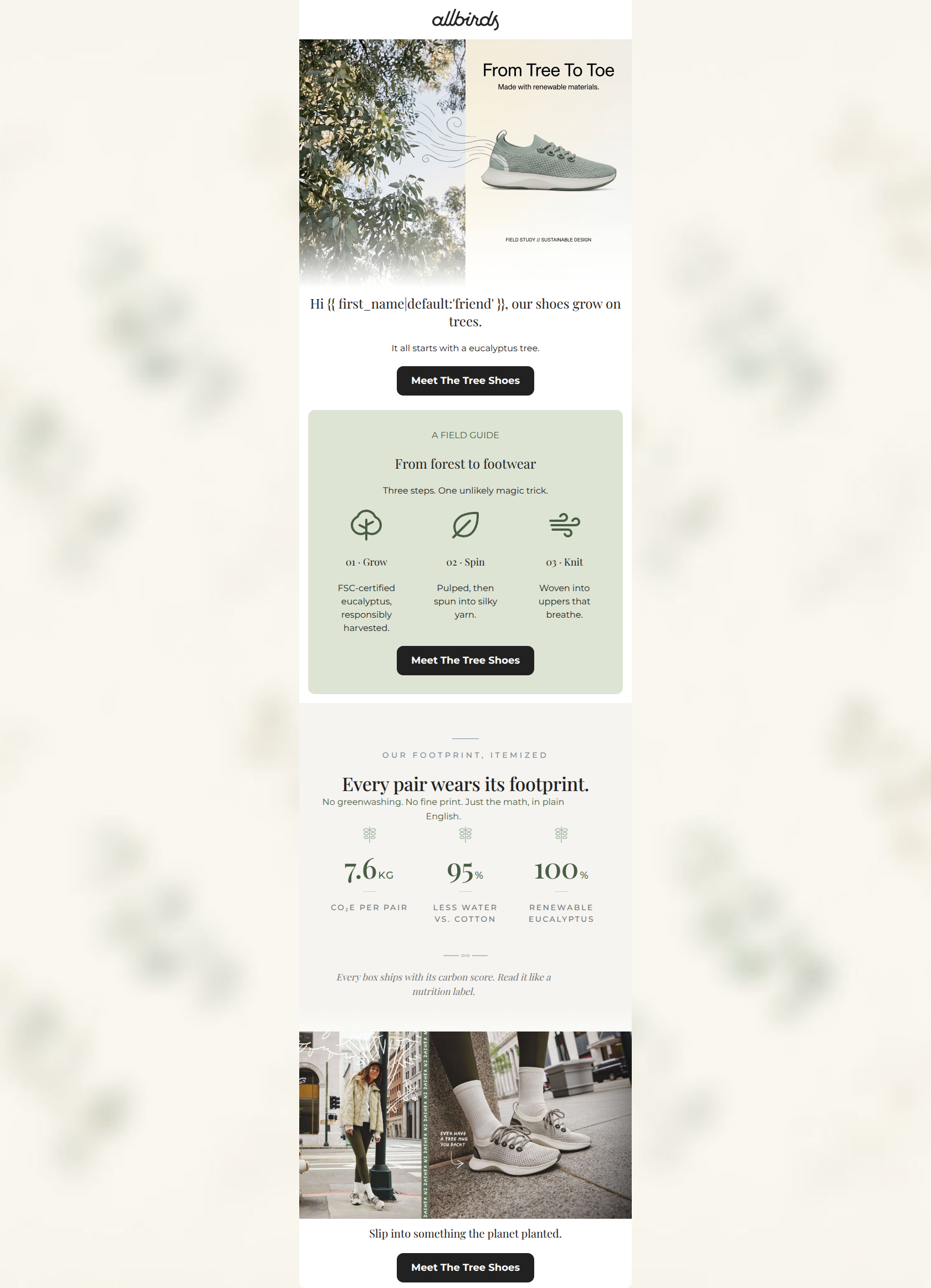 Email design: Why we make shoes out of trees