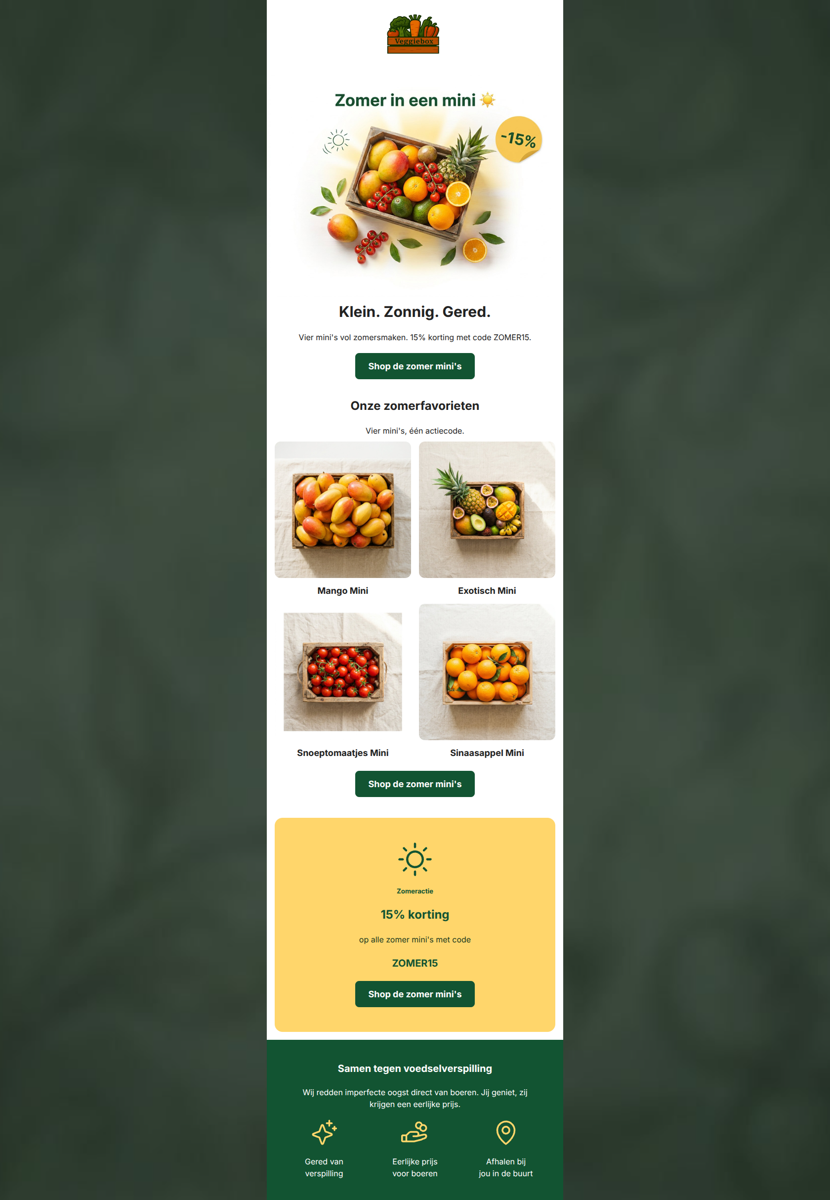 Email design: Klein. Zonnig. Gered. — 15% op de mini's