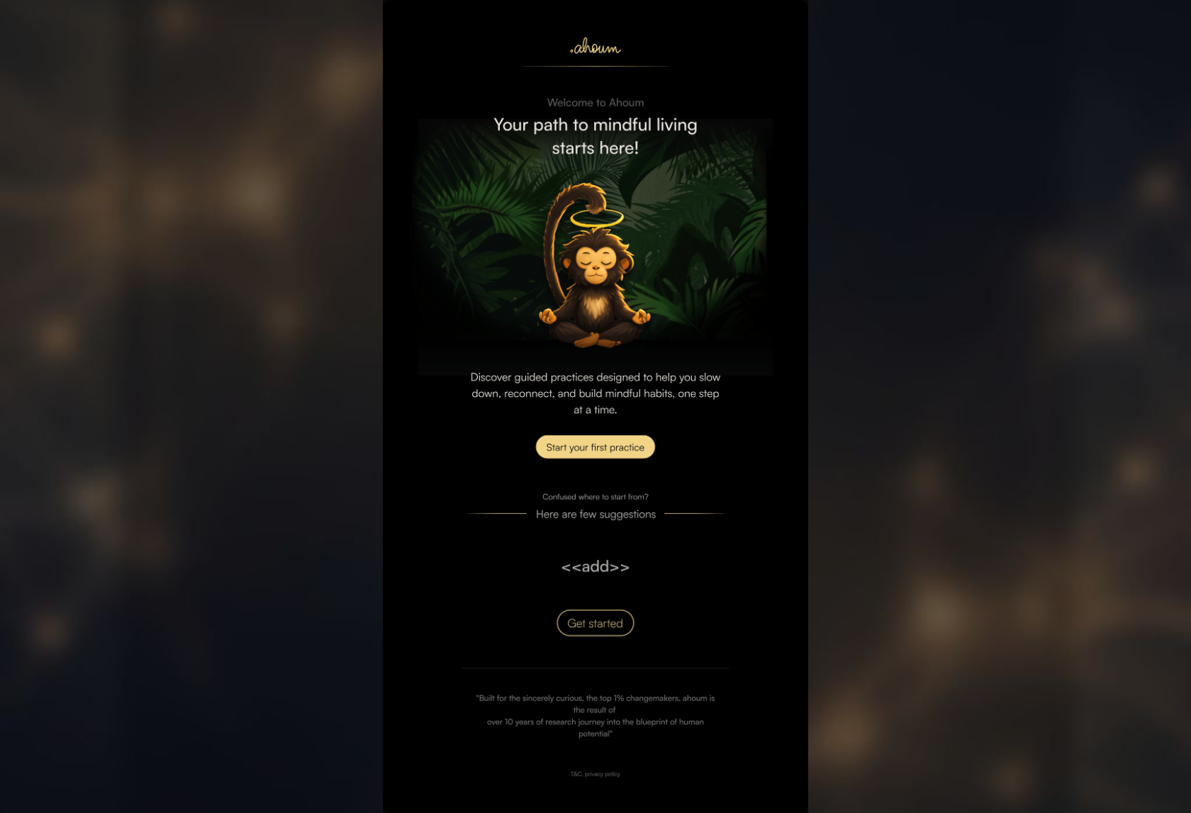 Email design: Your personality blueprint, {{ first_name|default:'friend' }} (Clone)