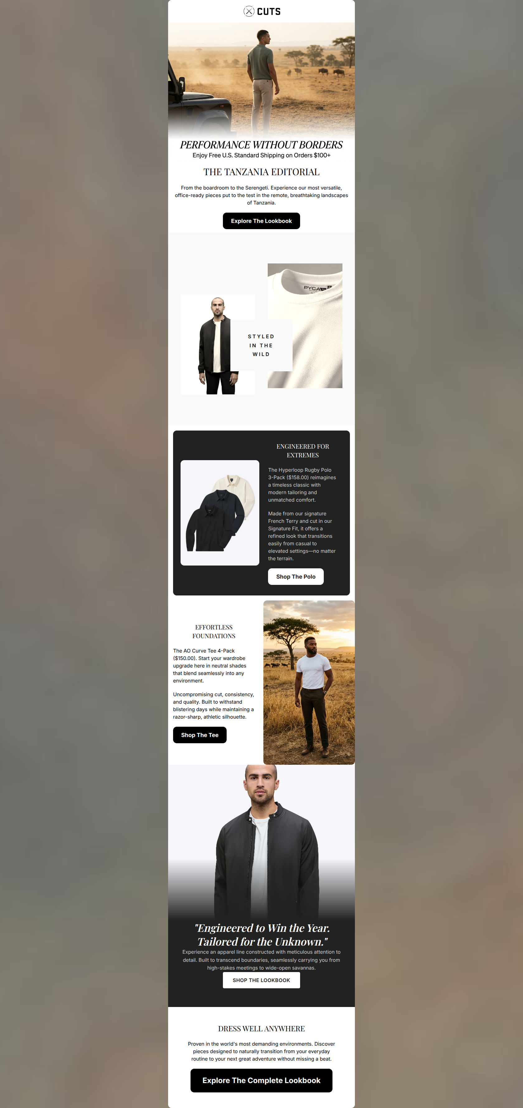 Email design: The Tanzania Editorial: Journey with Cuts