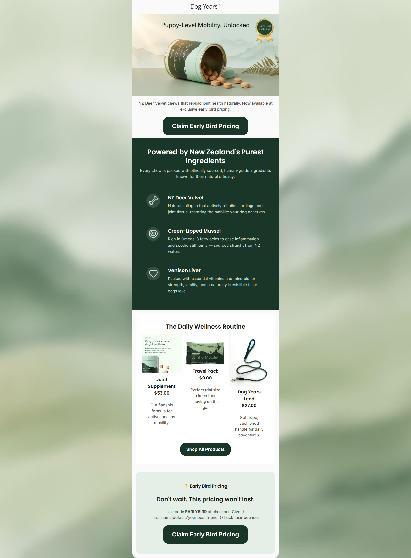 Email design: Their puppy energy is still in there.