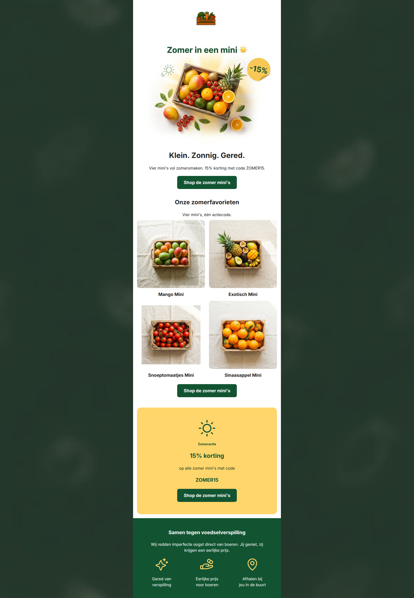 Email design: ☀️ Zomer in een mini — nu -15%
