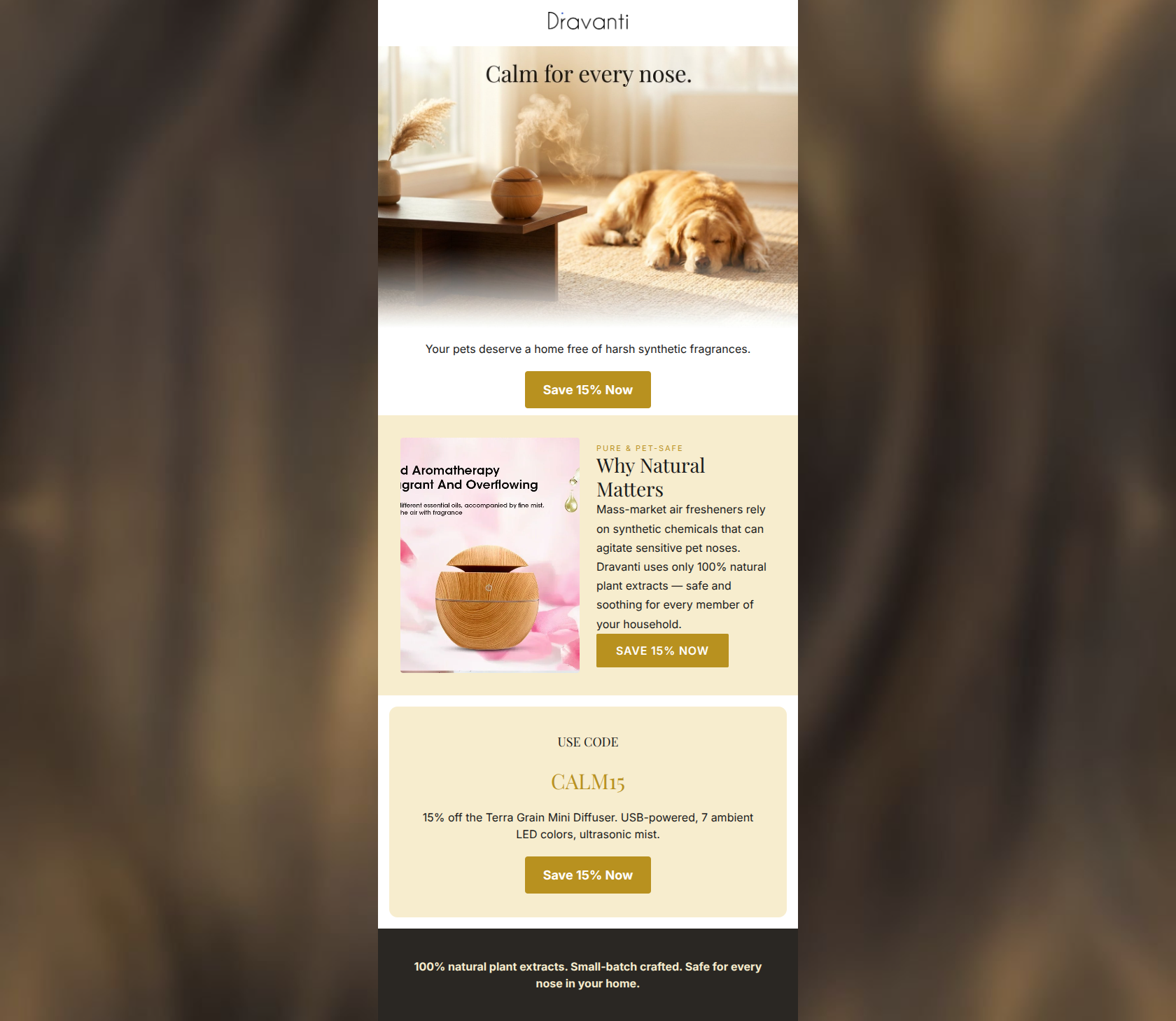 Email design: Is your home scent stressing out your dog?
