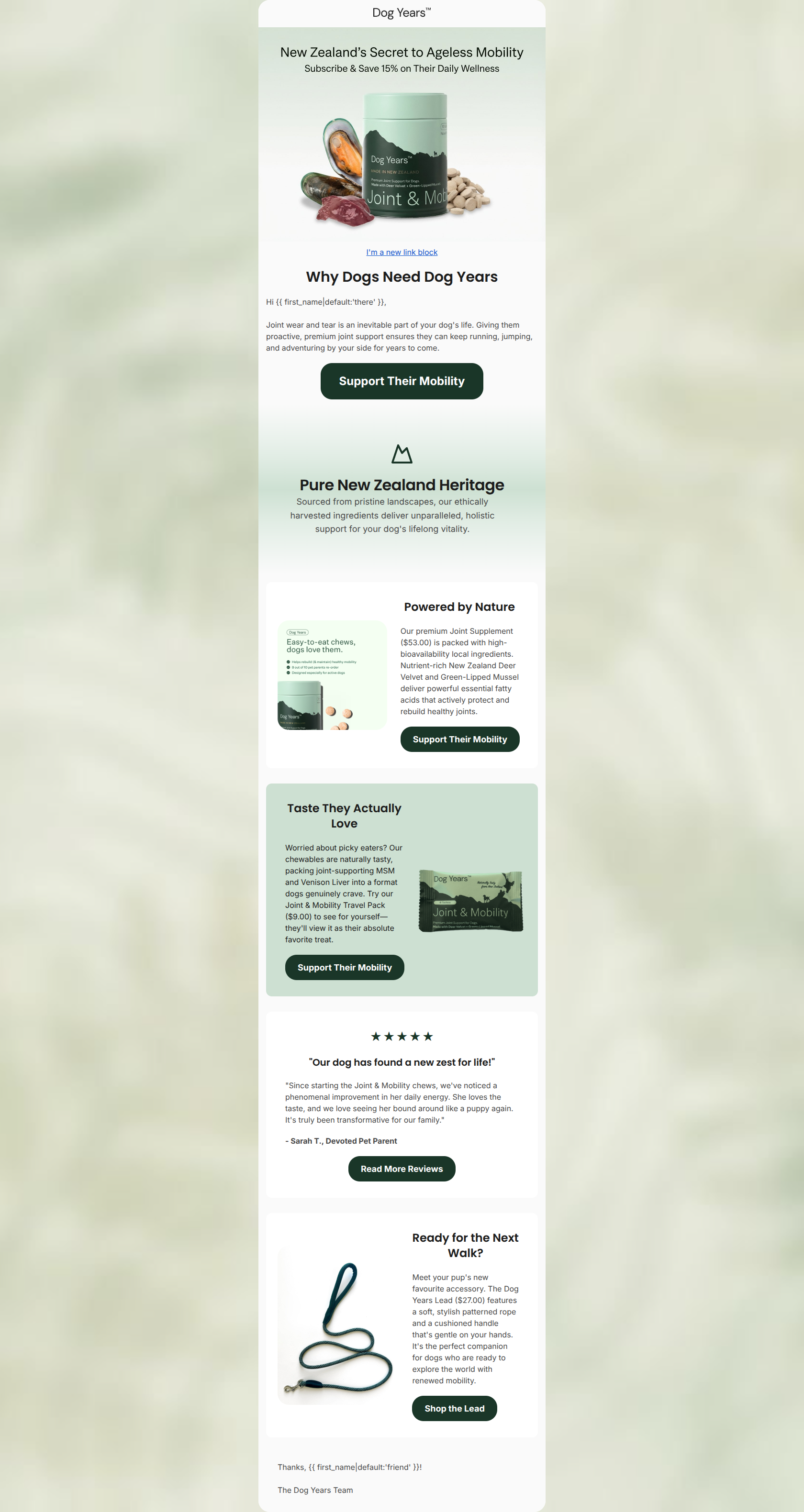 Email design: The secret to your dog's active lifestyle (Clone)