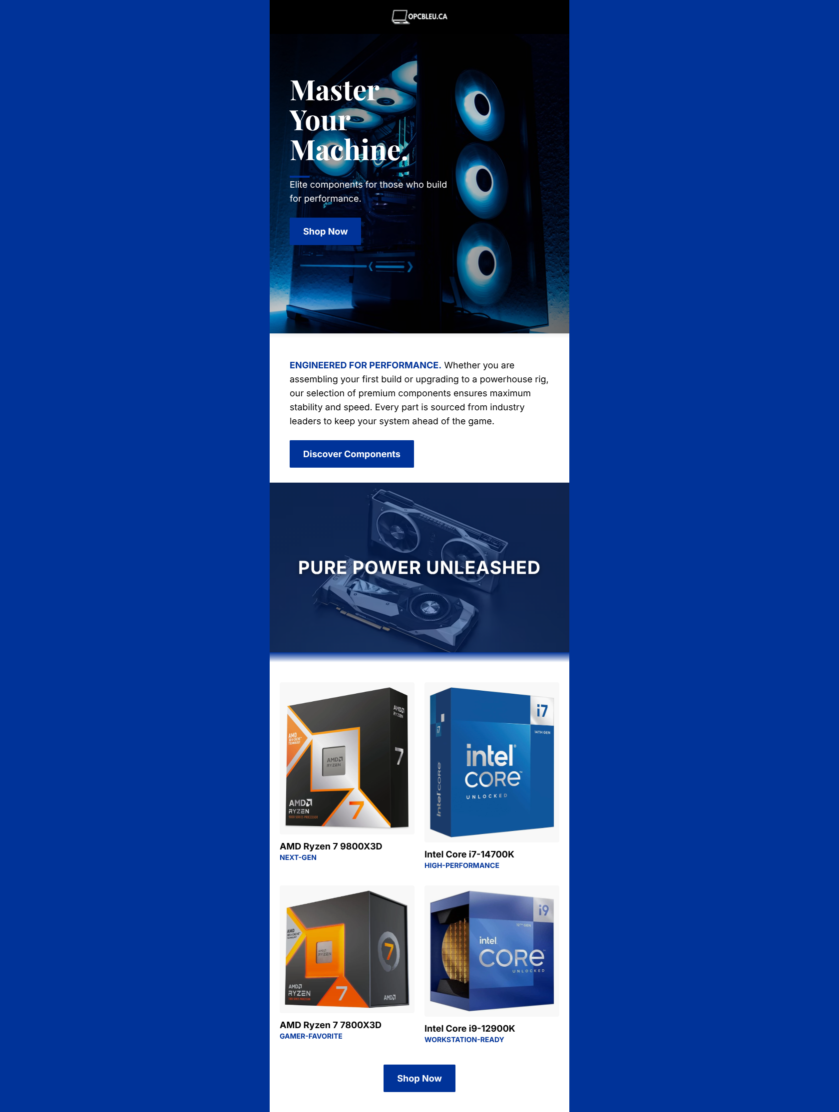 Email design: Starter: Editorial brand story — welcome starter t