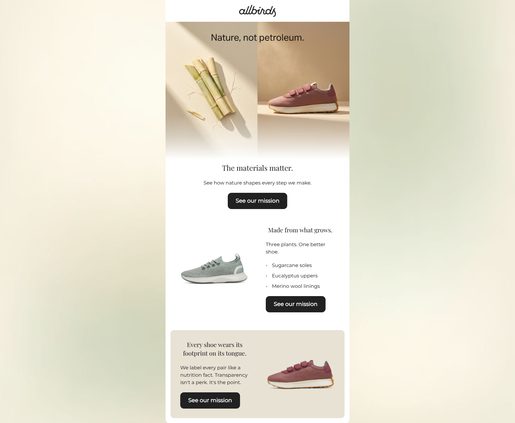 Email design: What makes a shoe truly sustainable?