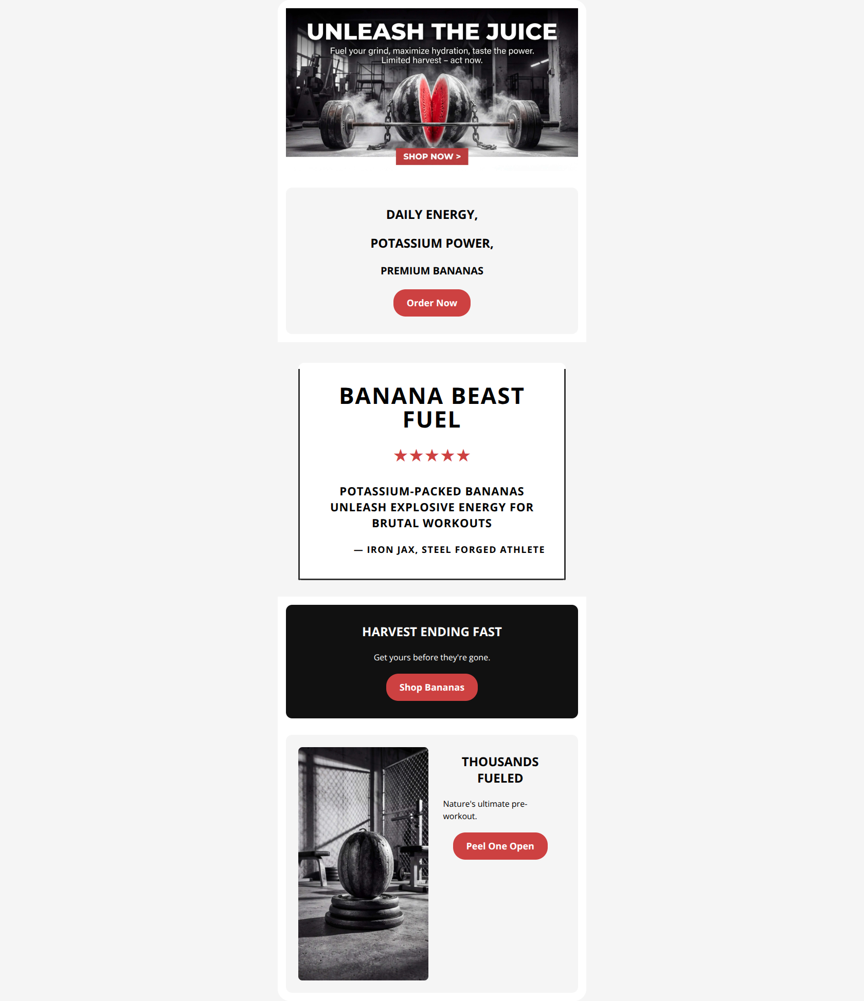 Email design: CONDITION IN 66 DAYS – Spots Limited