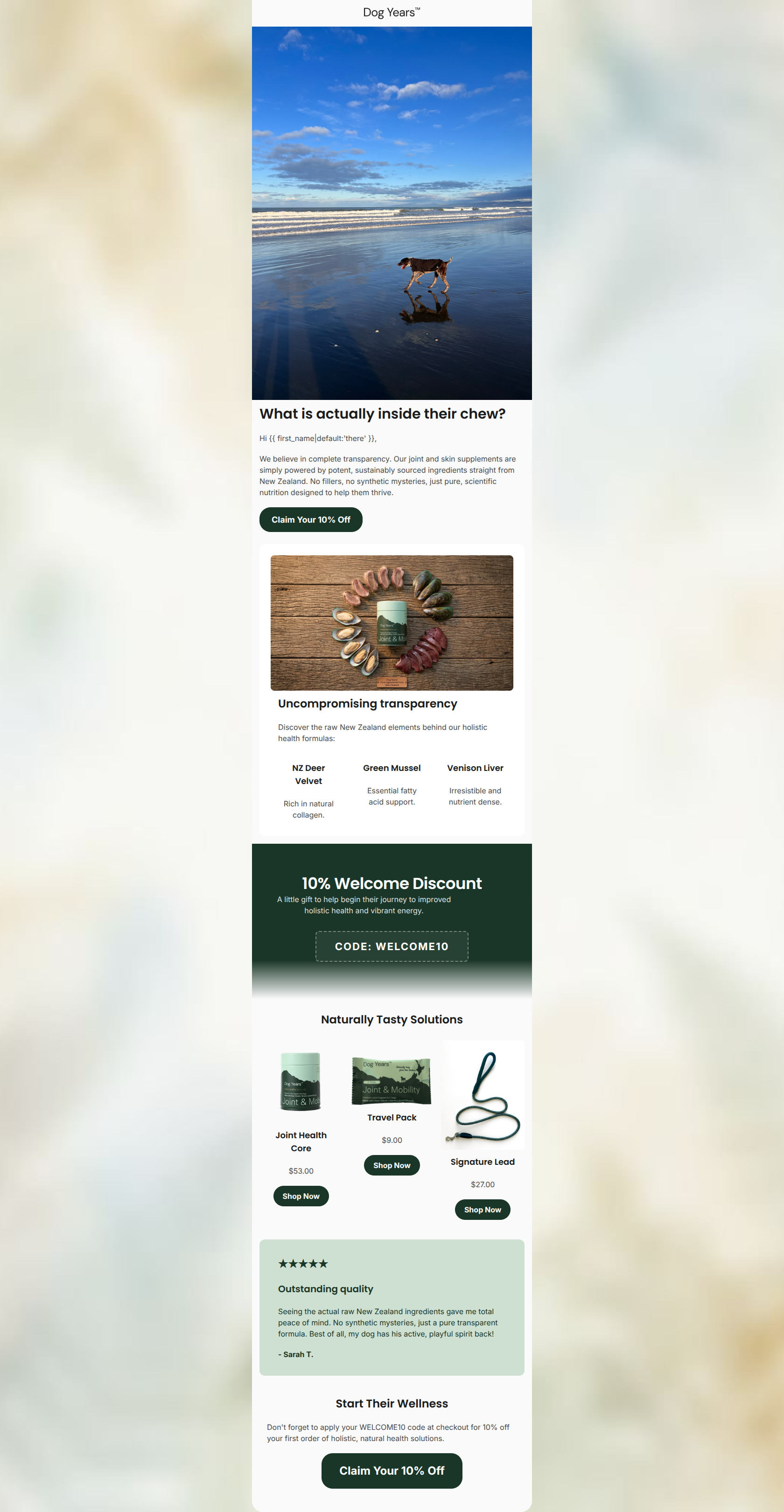 Email design: What is actually inside their chew?
