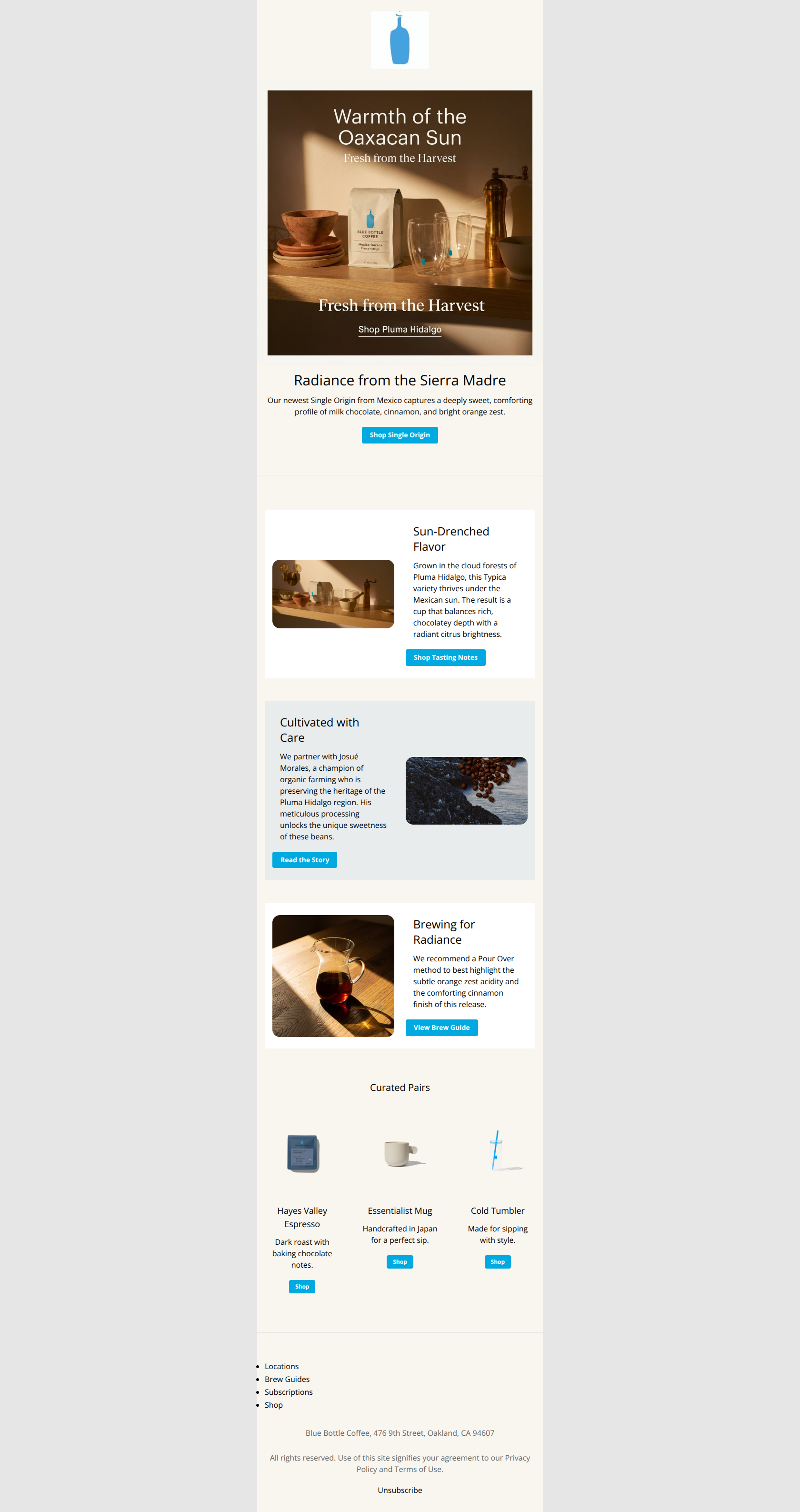 Email design: New Release: A radiant cup from Oaxaca