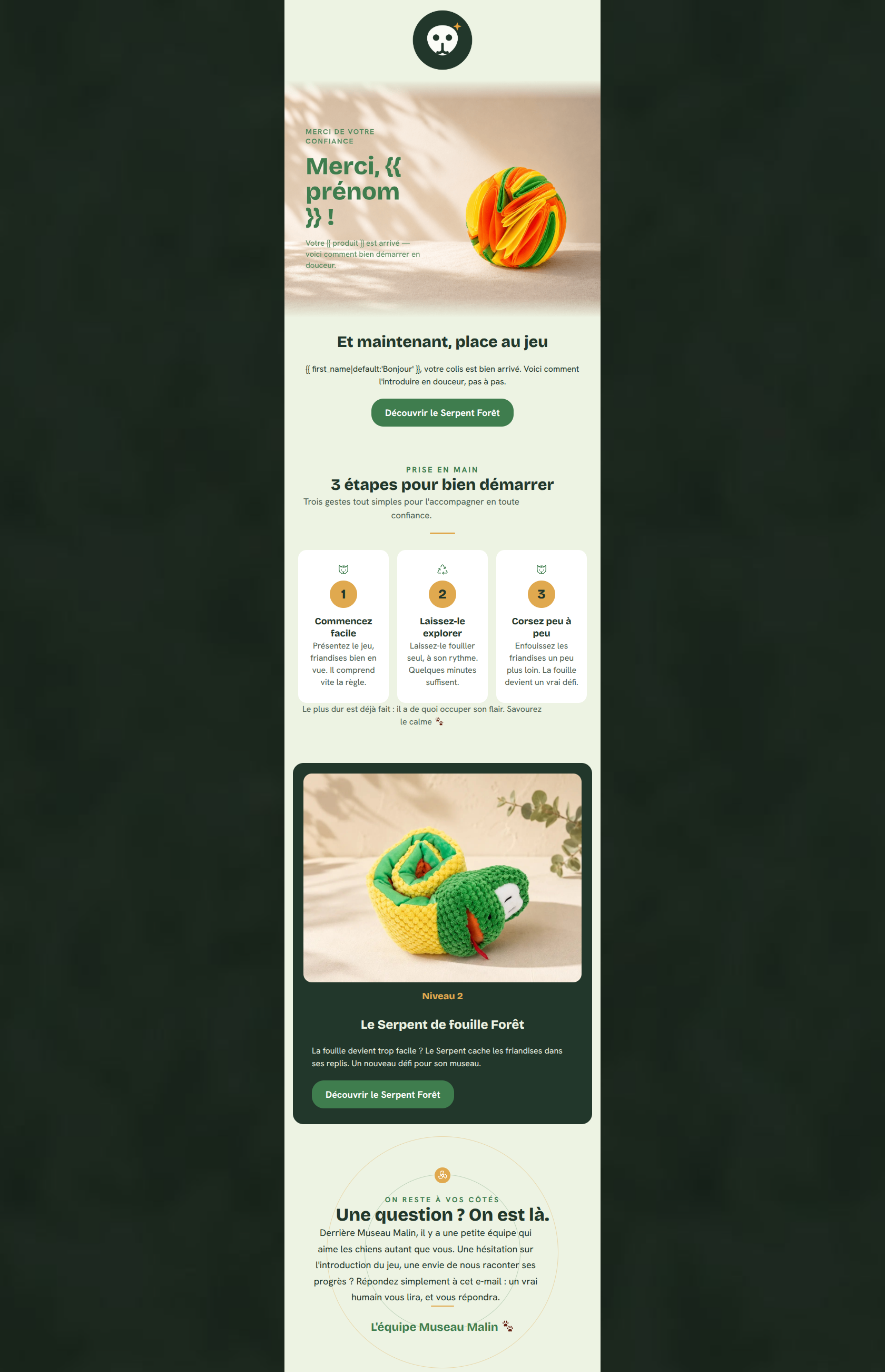 Email design: Merci {{ prénom }} ! 3 conseils pour bien démarrer 🐾