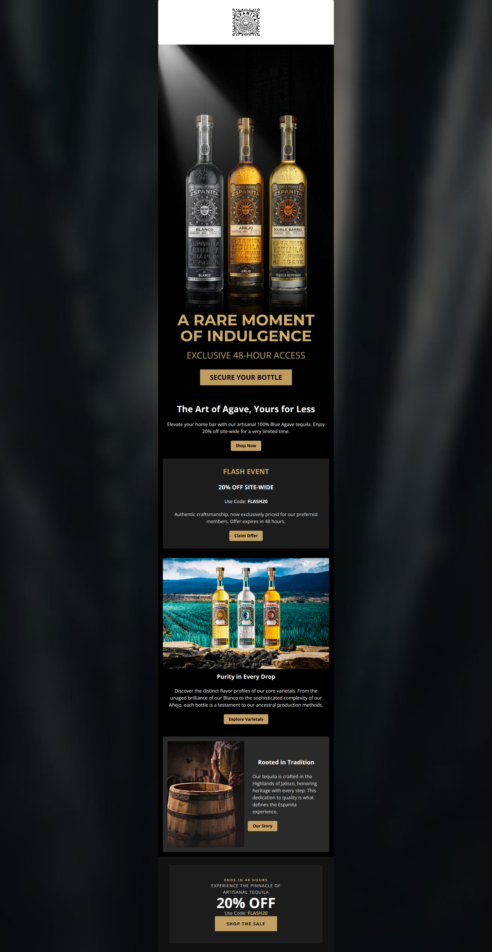 Email design: Flash Event: 48 Hours of Agave Luxury