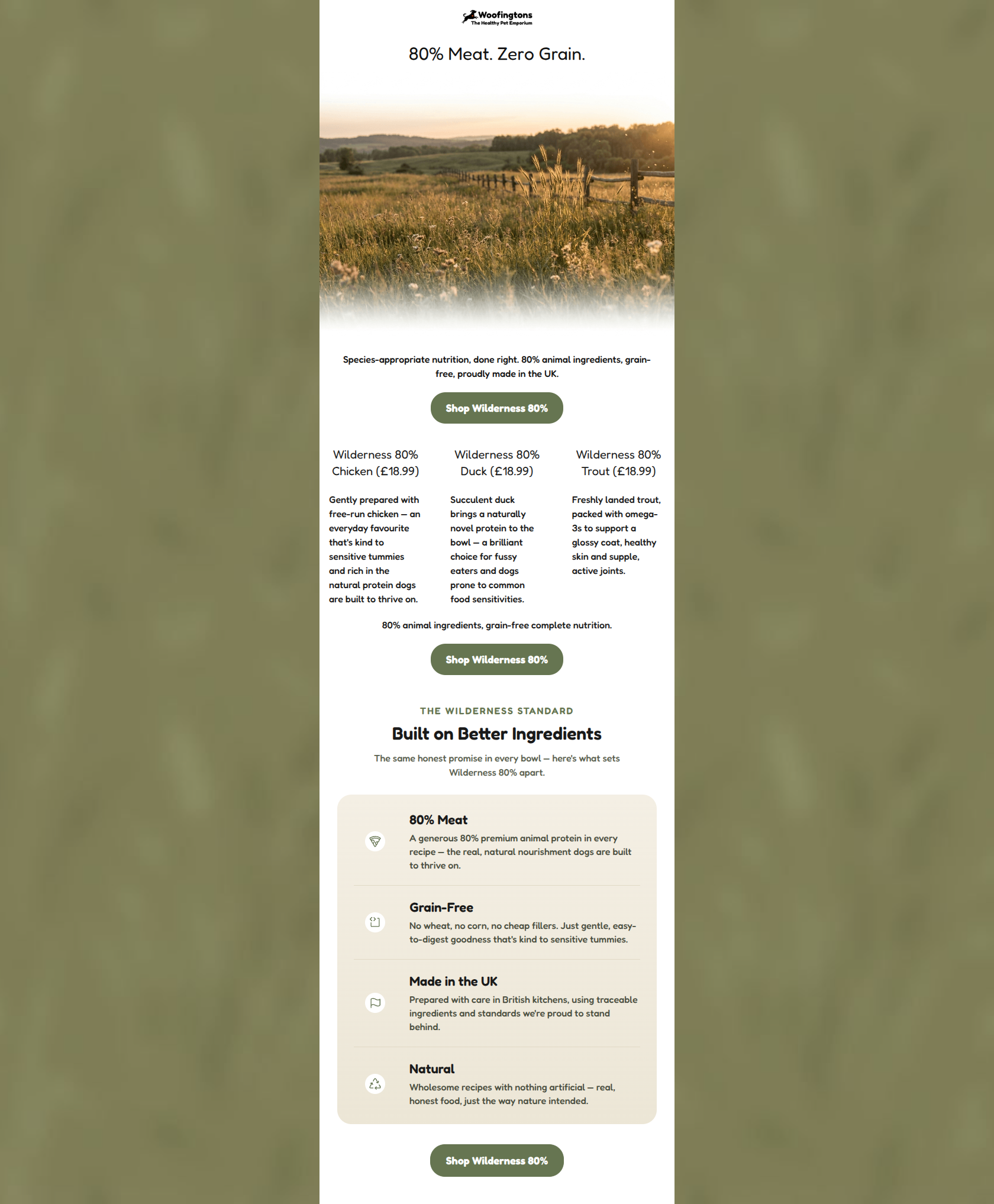 Email design: Introducing Meadow Farm Wilderness 80%