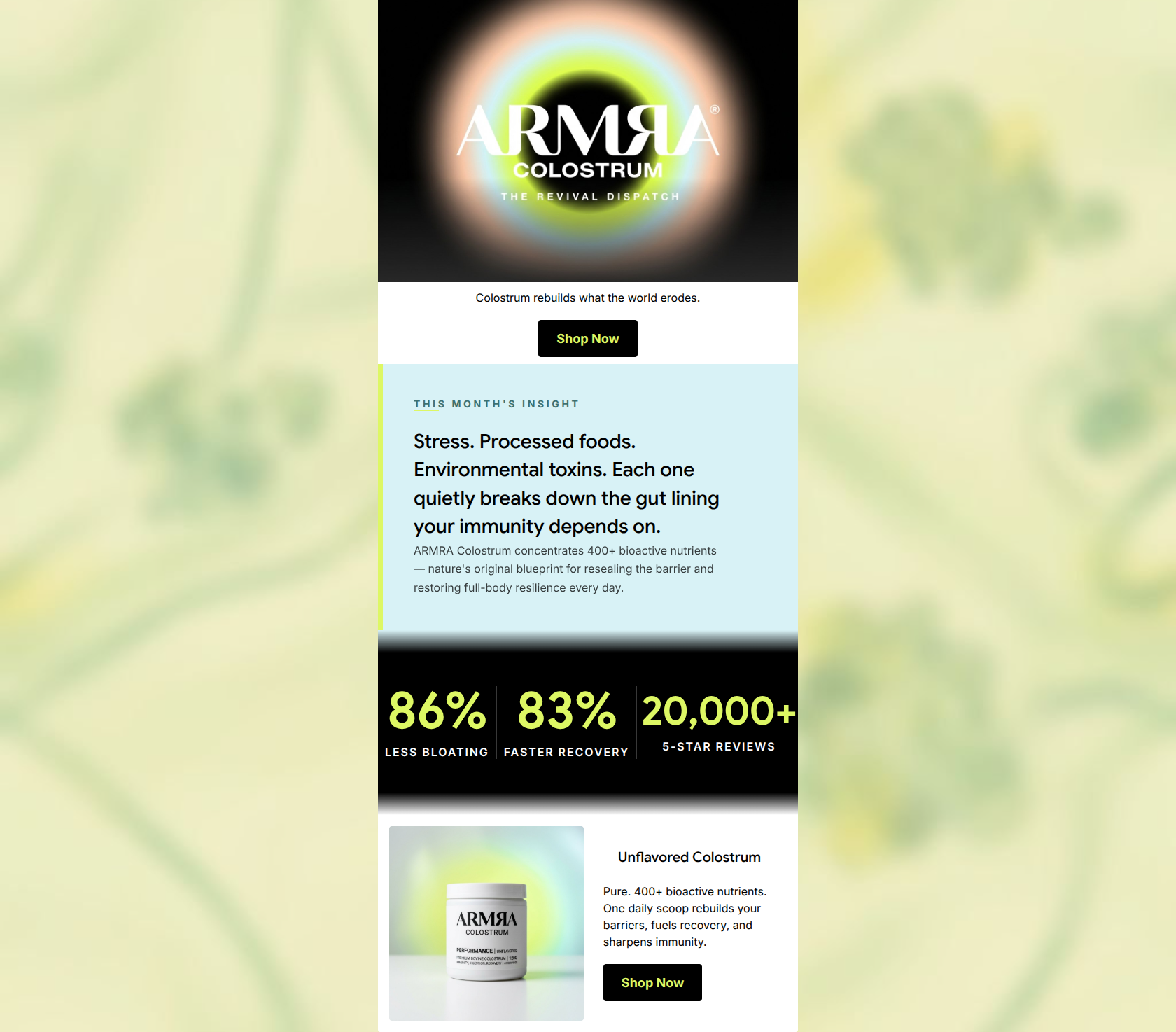 Email design: Your Monthly Revival, Delivered