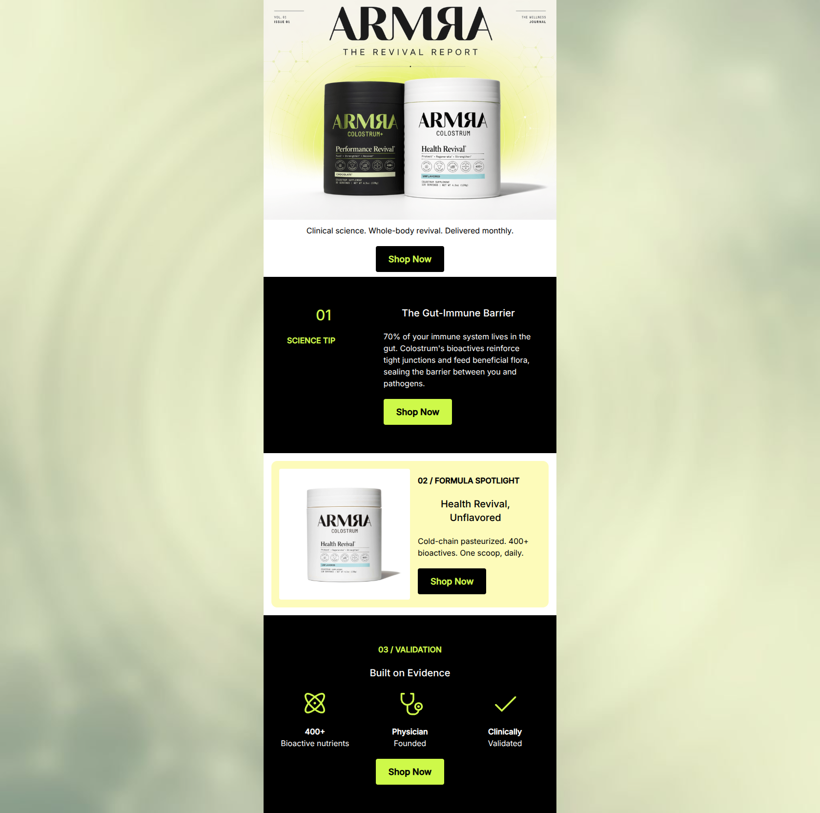 Email design: The Revival Report