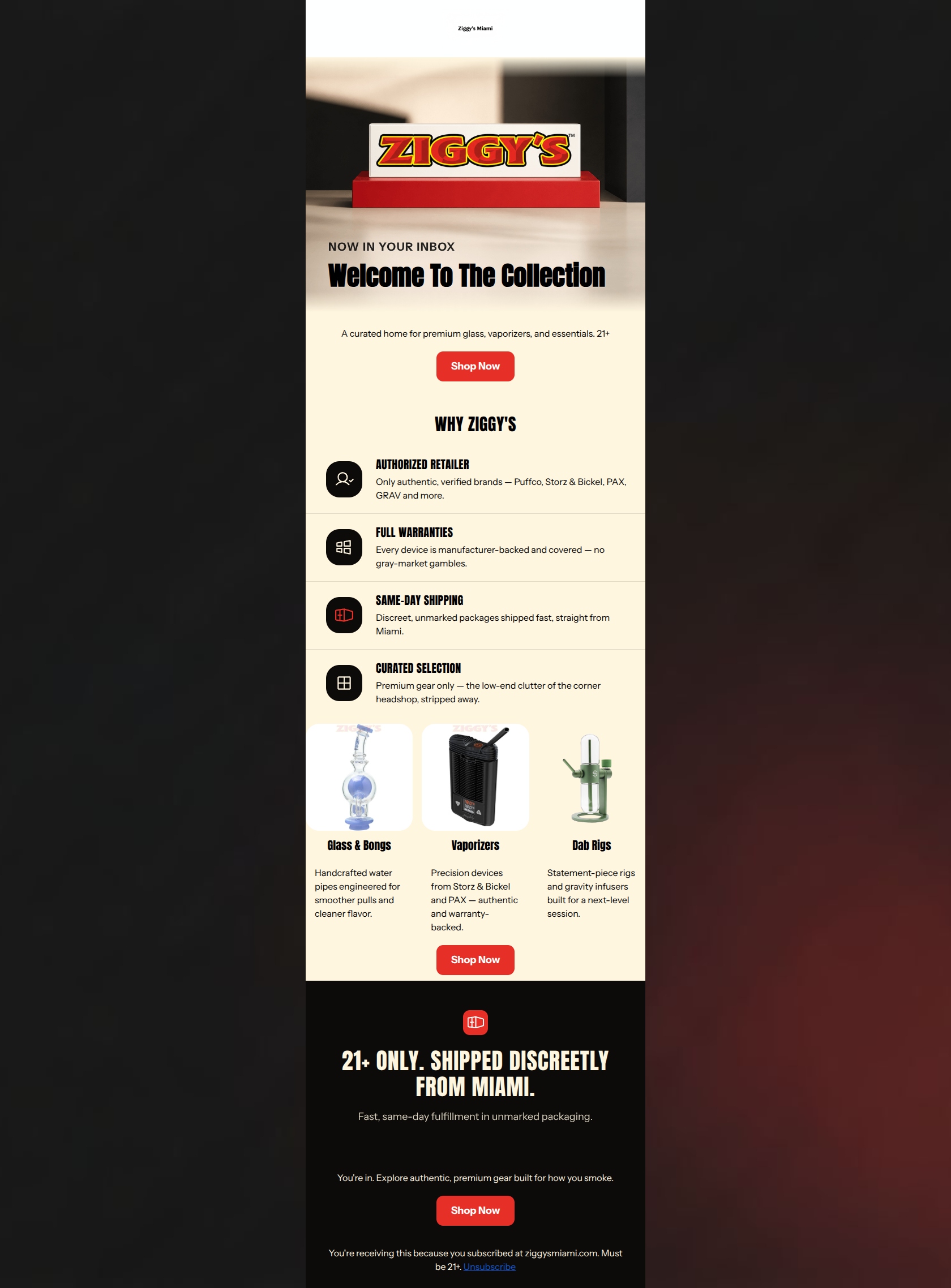 Email design: Welcome to Ziggy's β Miami's premium spot π΄