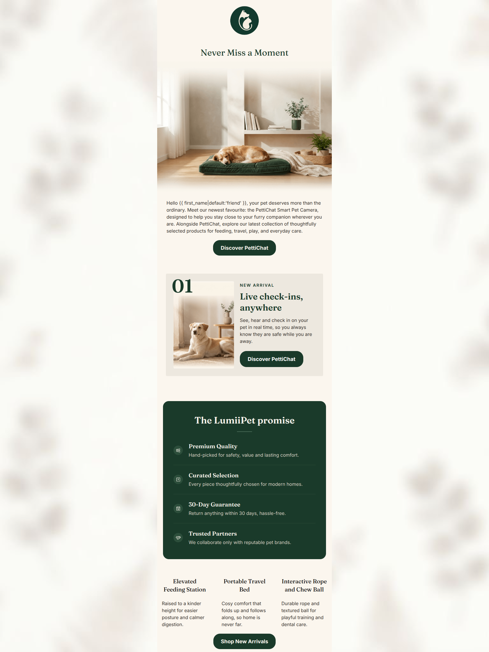 Email design: Stay close to your pet, wherever you are
