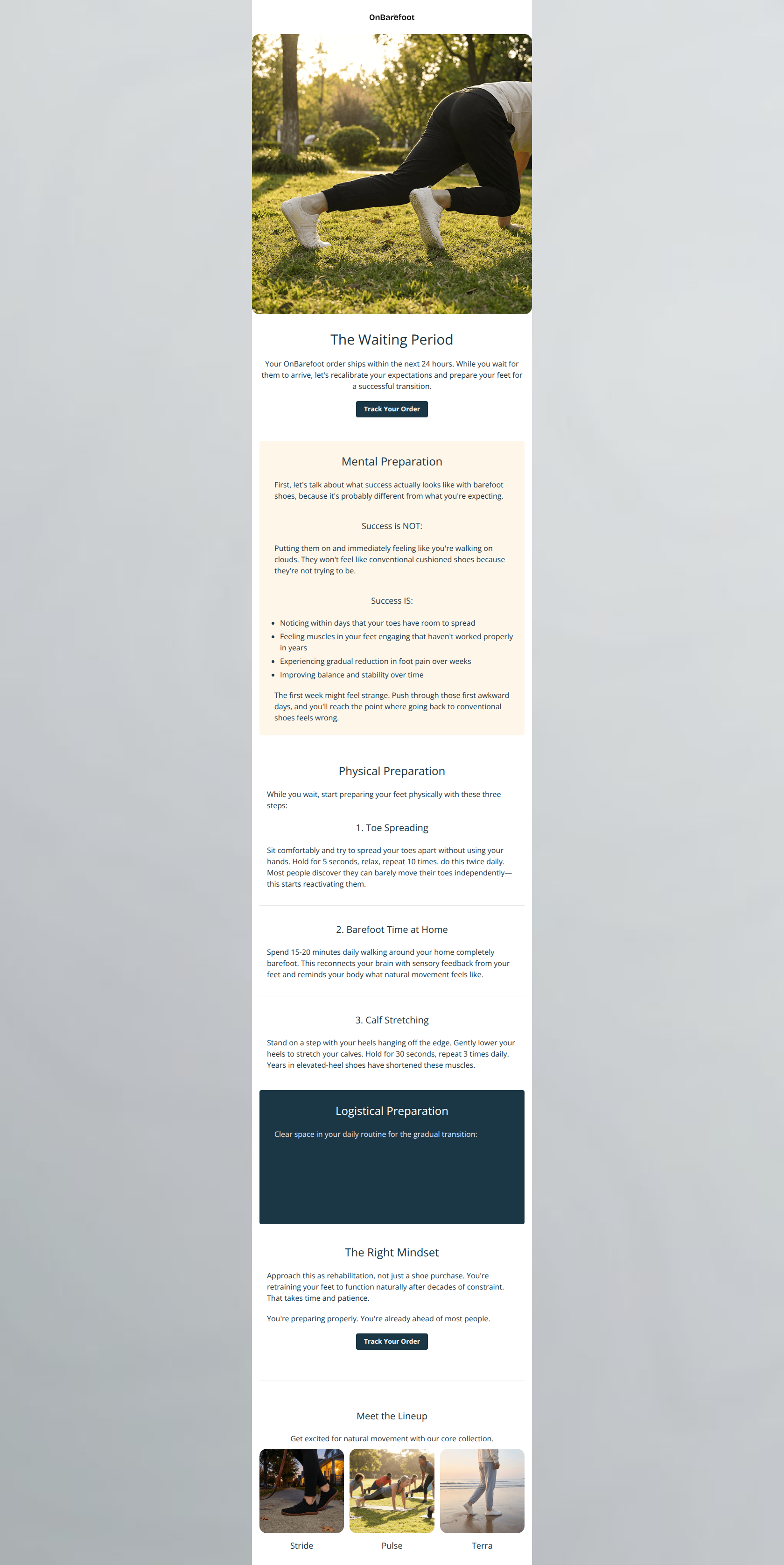 Email design: Post Purchase - Email 2