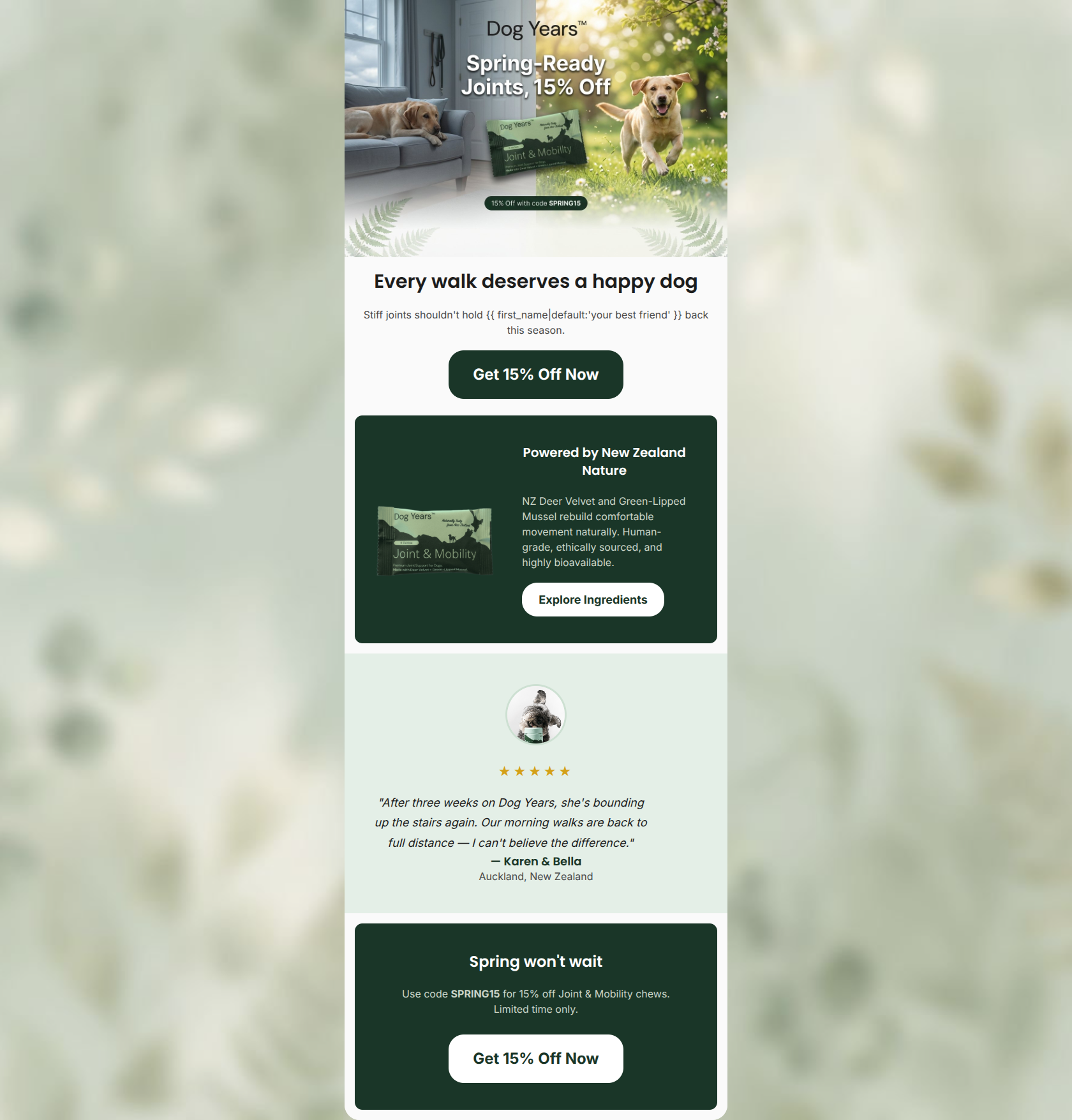 Email design: Spring walks are calling. Is your dog ready?