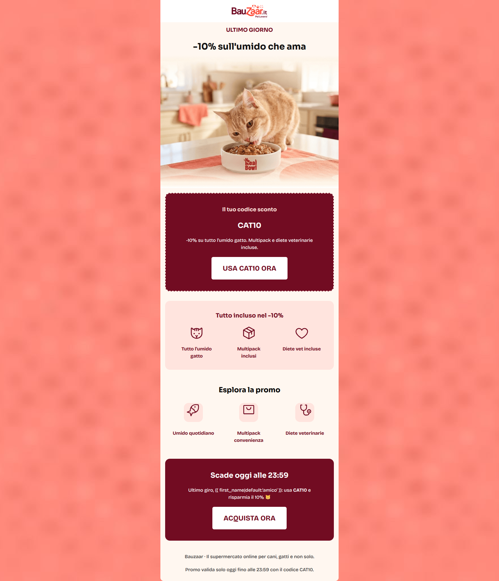 Email design: Give your cat the best mealtime experience