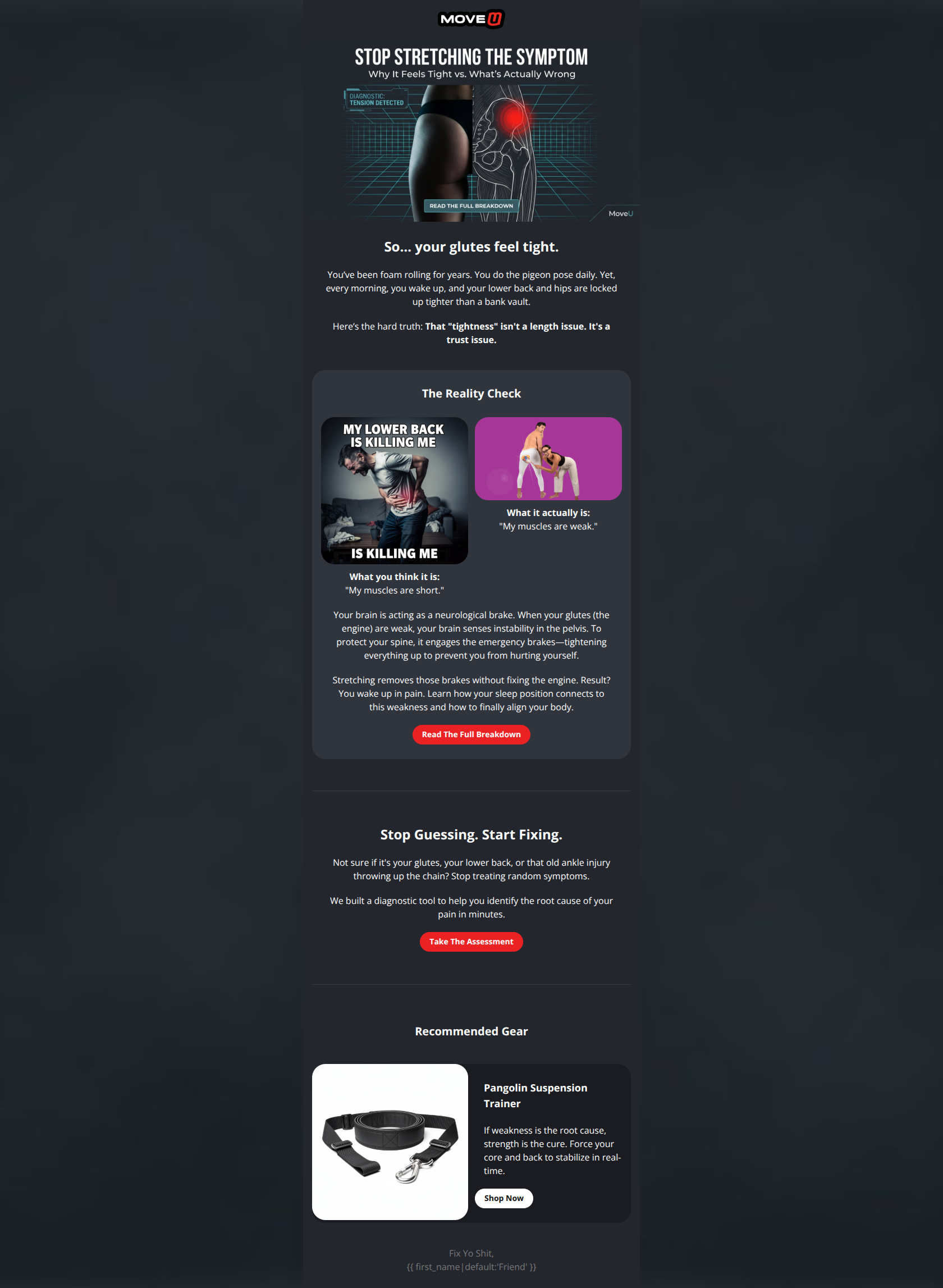 Email design: Discover Our New Arrivals!