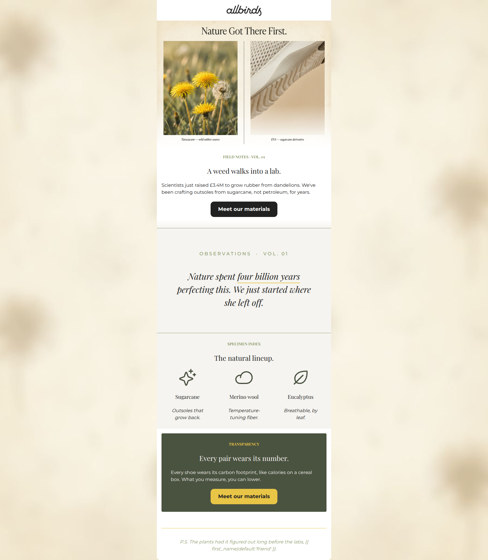Email design: Why your next shoes might be weeds