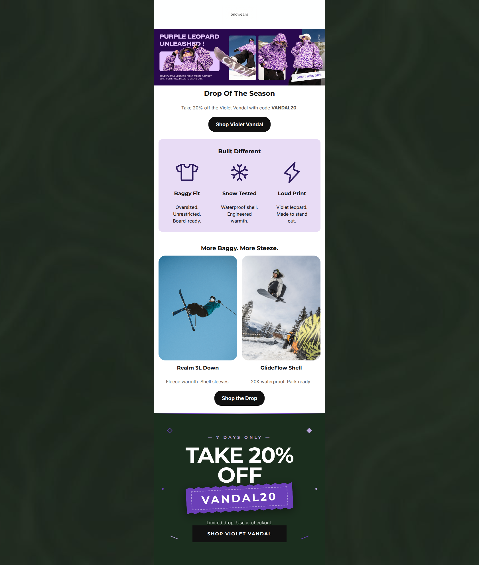 Email design: Purple Leopard Unleashed — 20% Off