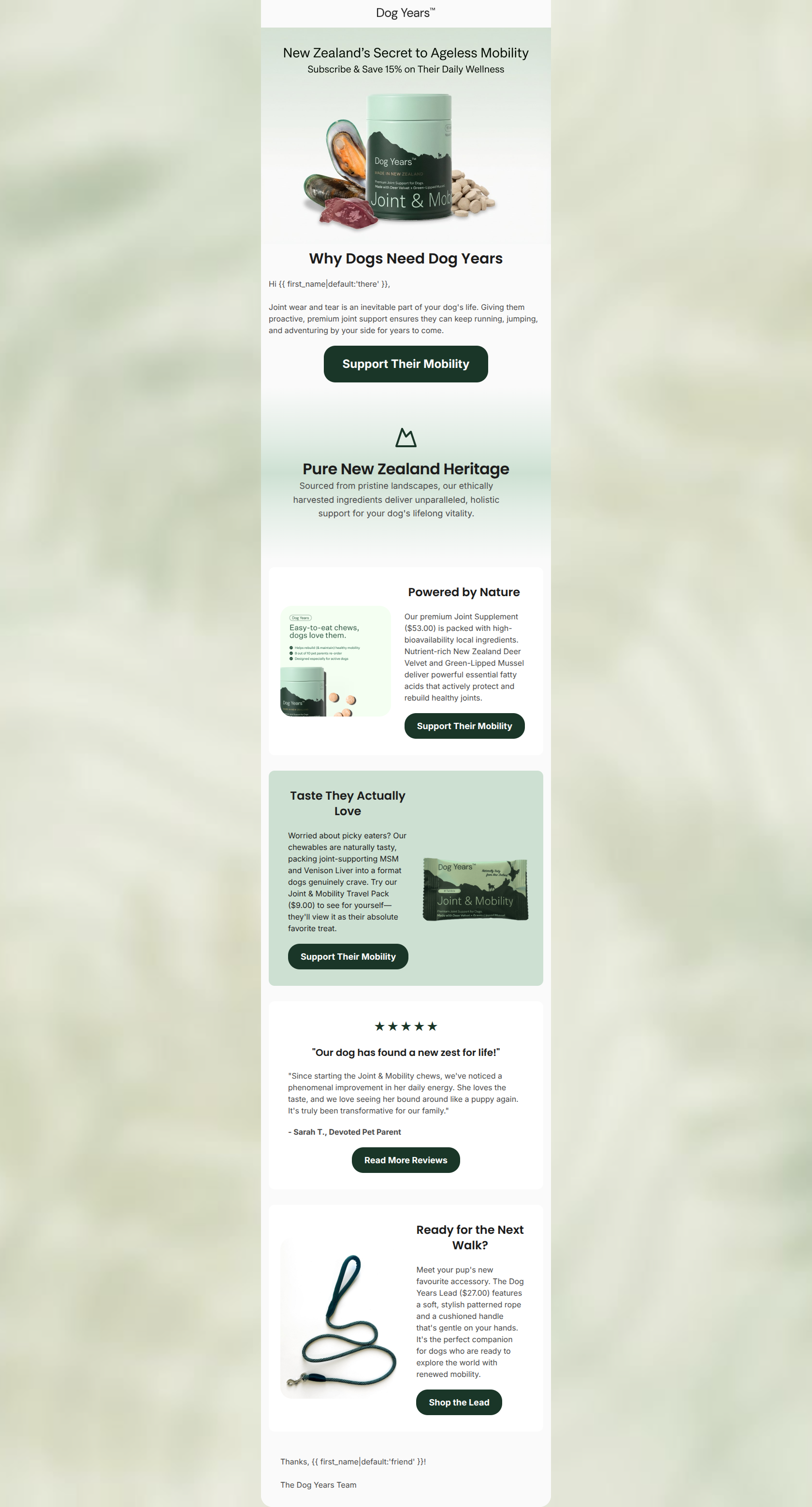 Email design: The secret to your dog's active lifestyle (Clone)