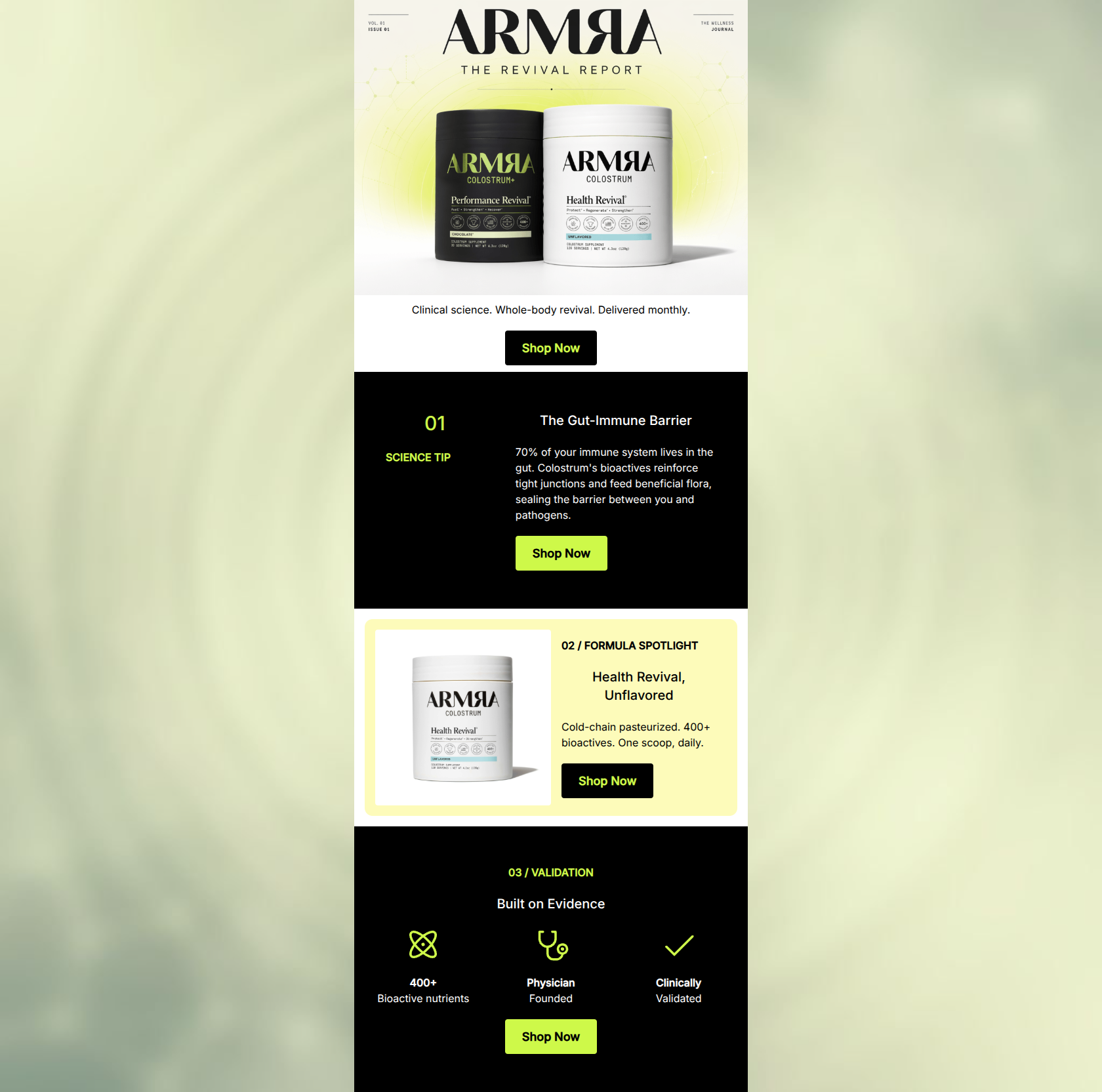 Email design: The Revival Report