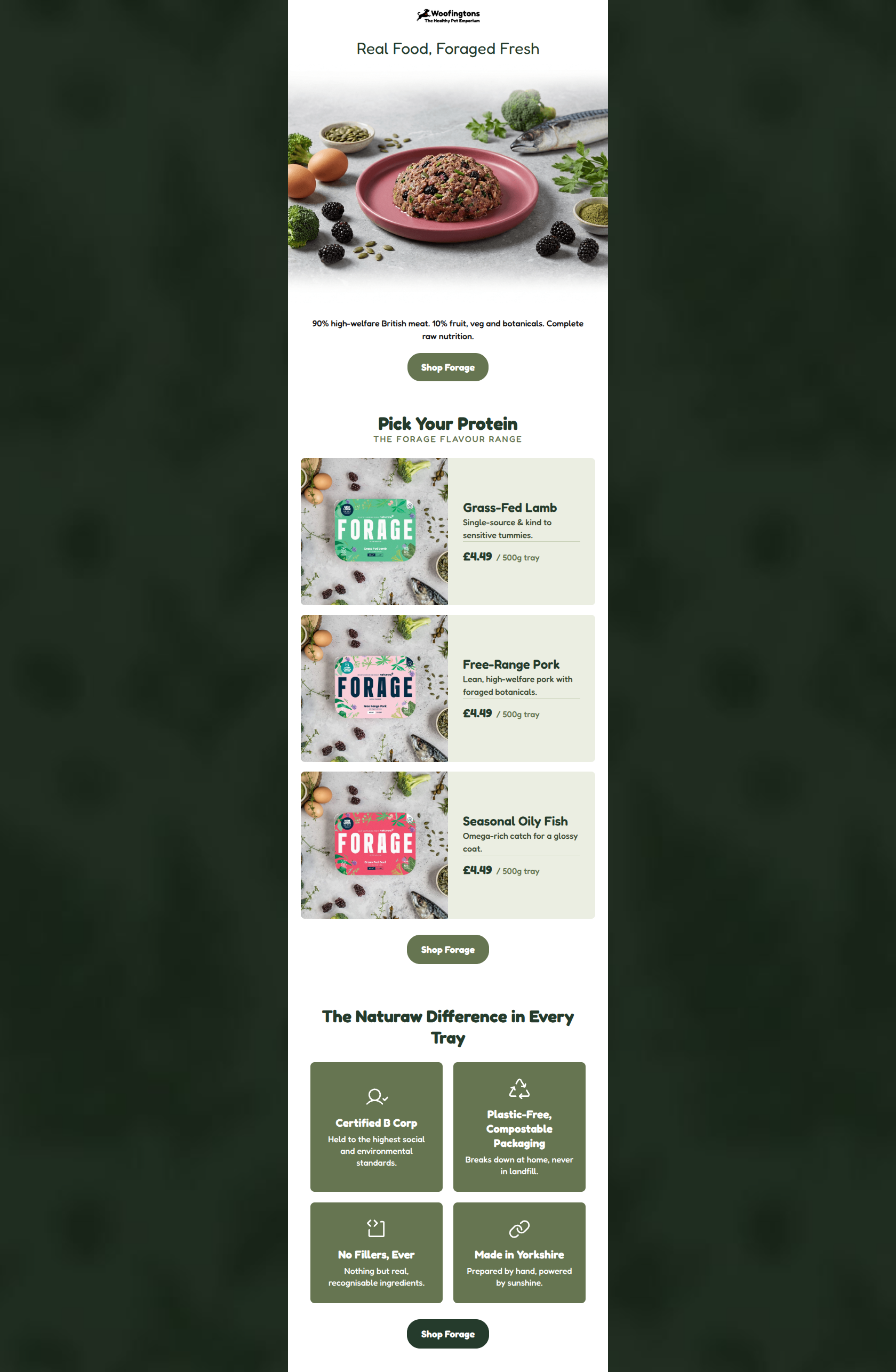 Email design: Meet Forage: raw food, foraged fresh