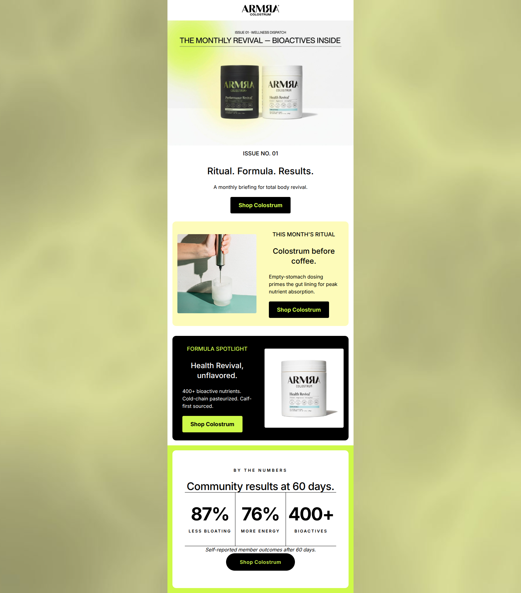 Email design: Your monthly revival briefing