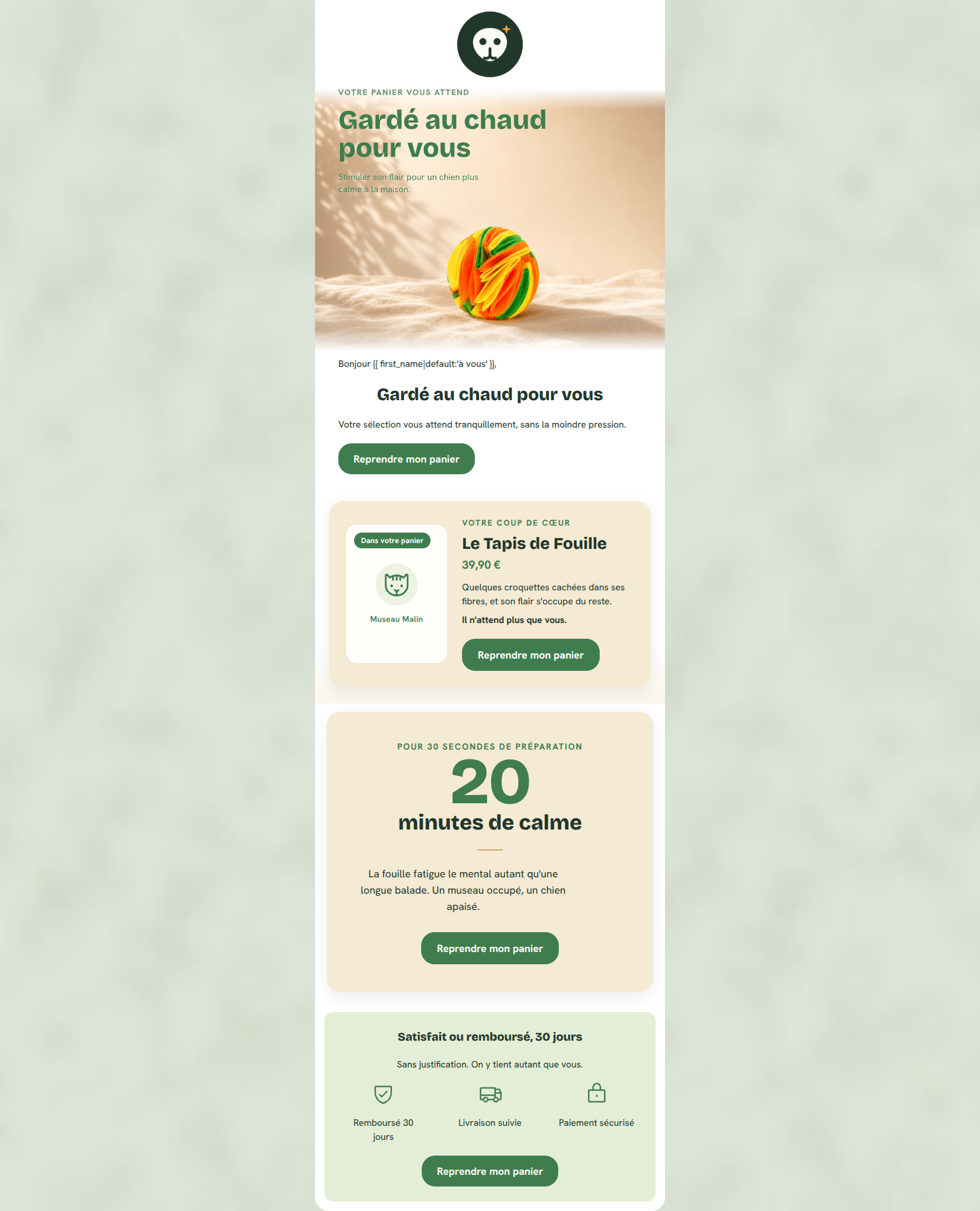 Email design: {{ prénom }}, votre panier fait la sieste 🐾