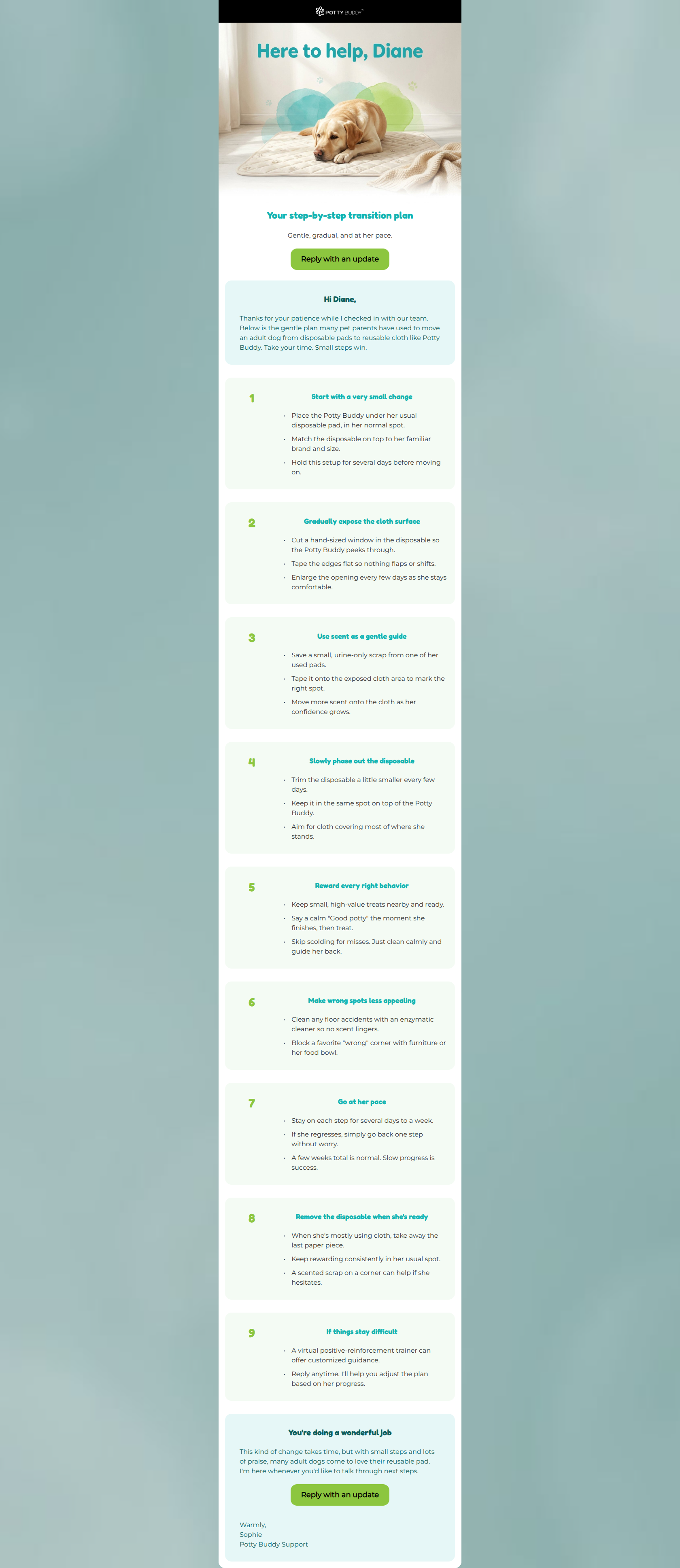 Email design: Your step-by-step transition plan, Diane