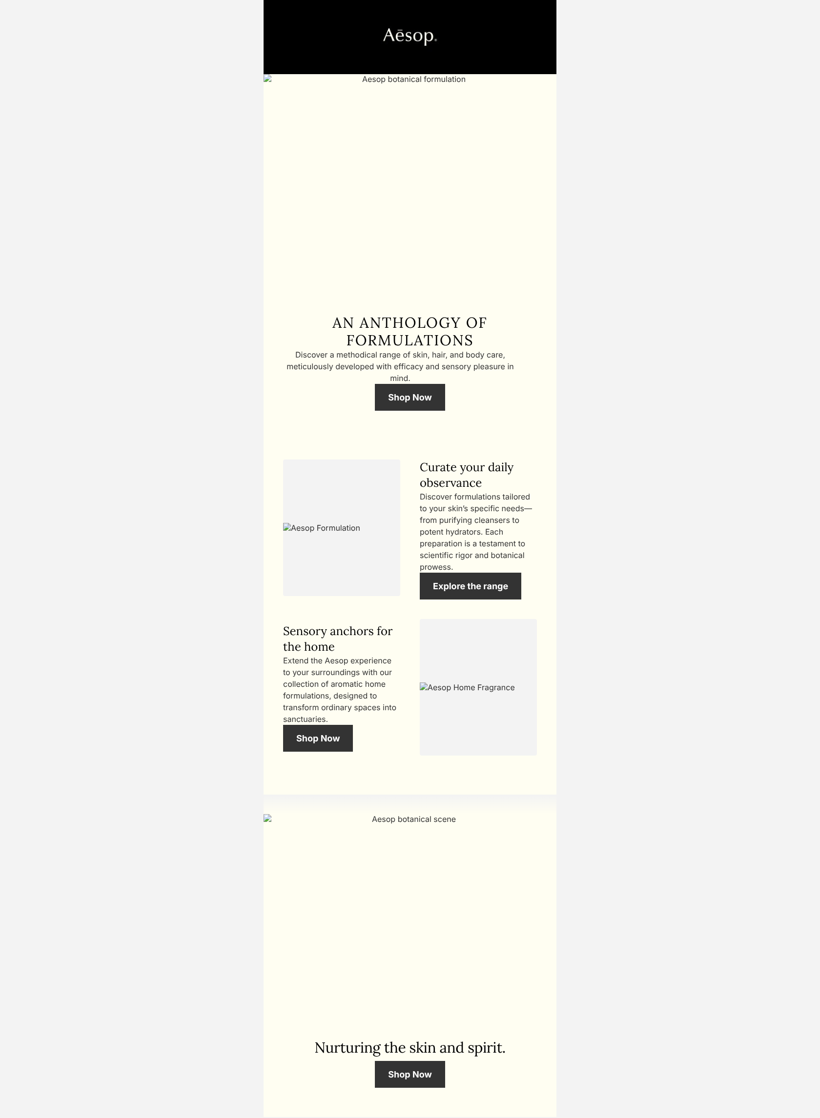 Email design: Starter: Editorial discovery — welcome starter tem