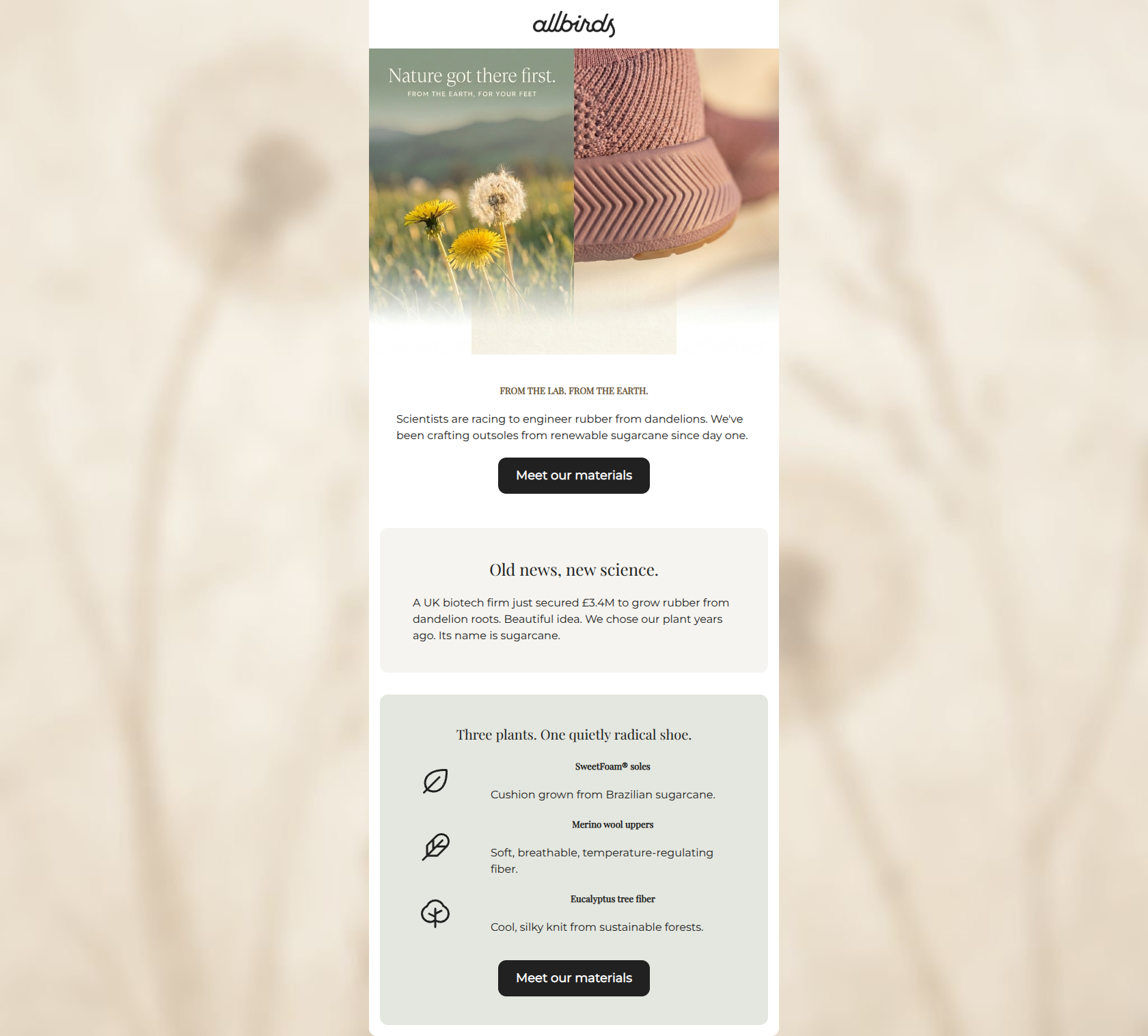 Email design: Why your next shoes might be weeds