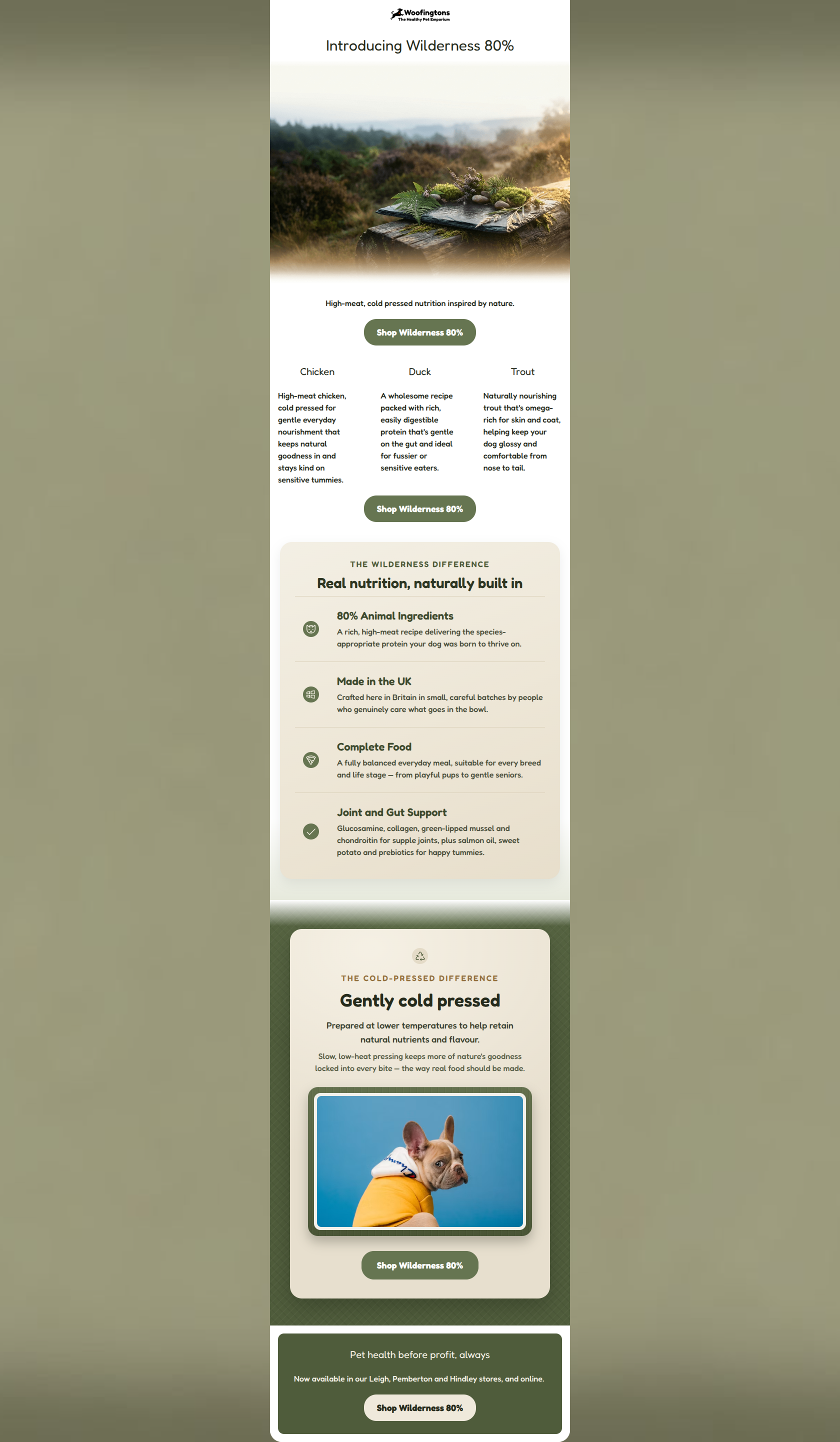 Email design: Go wild for our new Wilderness 80% range
