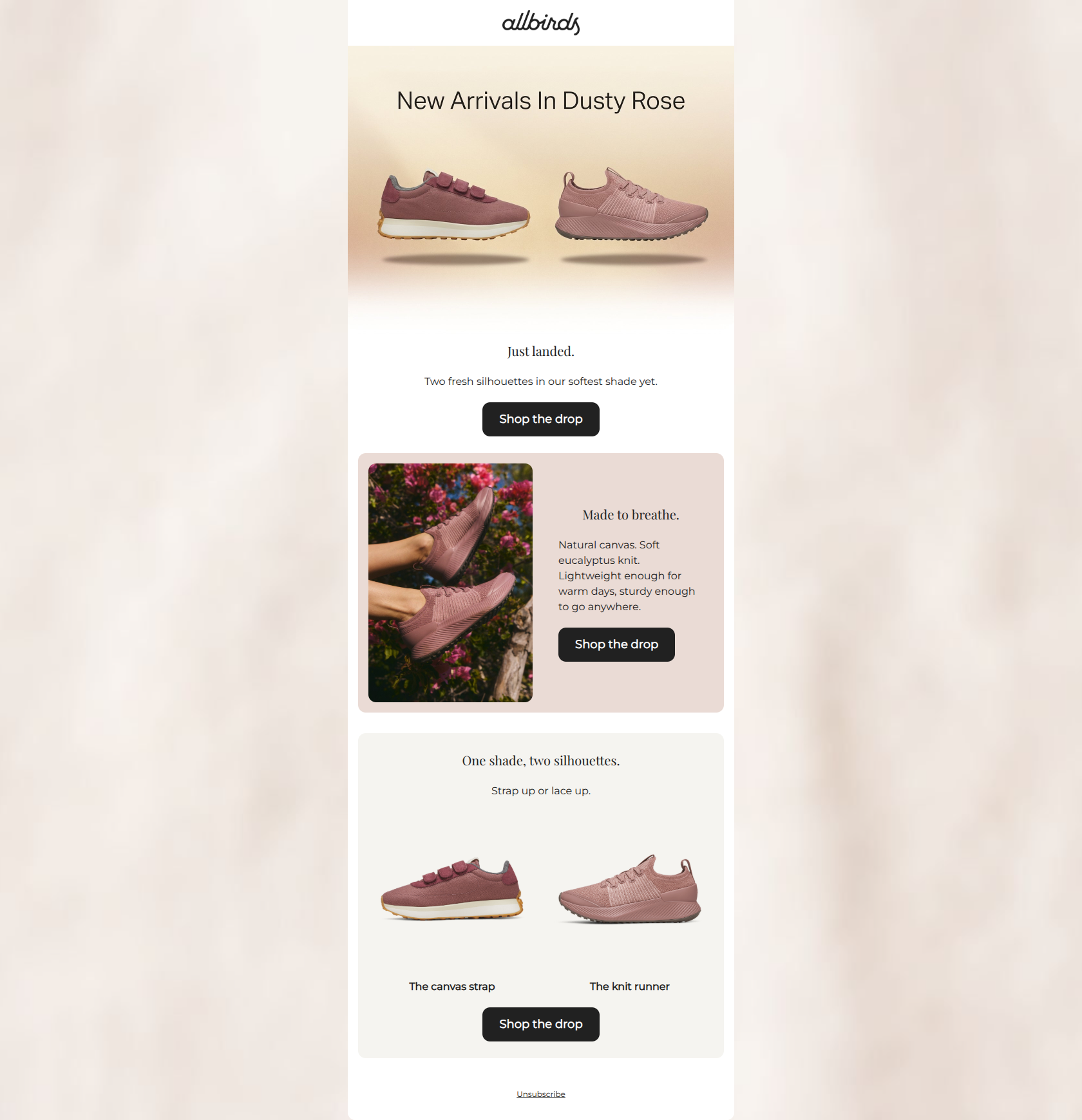 Email design: New in: dusty rose