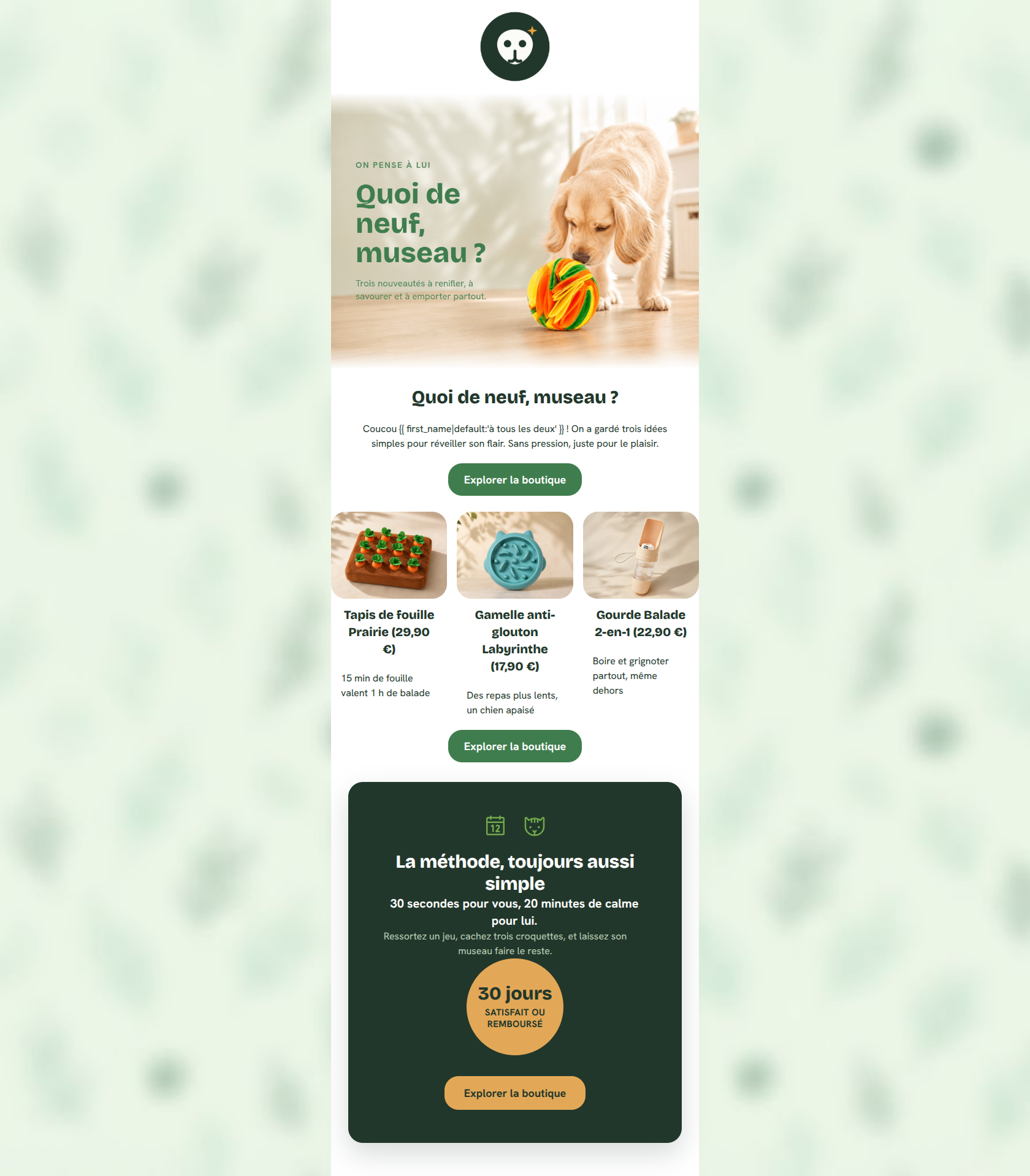 Email design: Quoi de neuf pour son museau ? 🐾