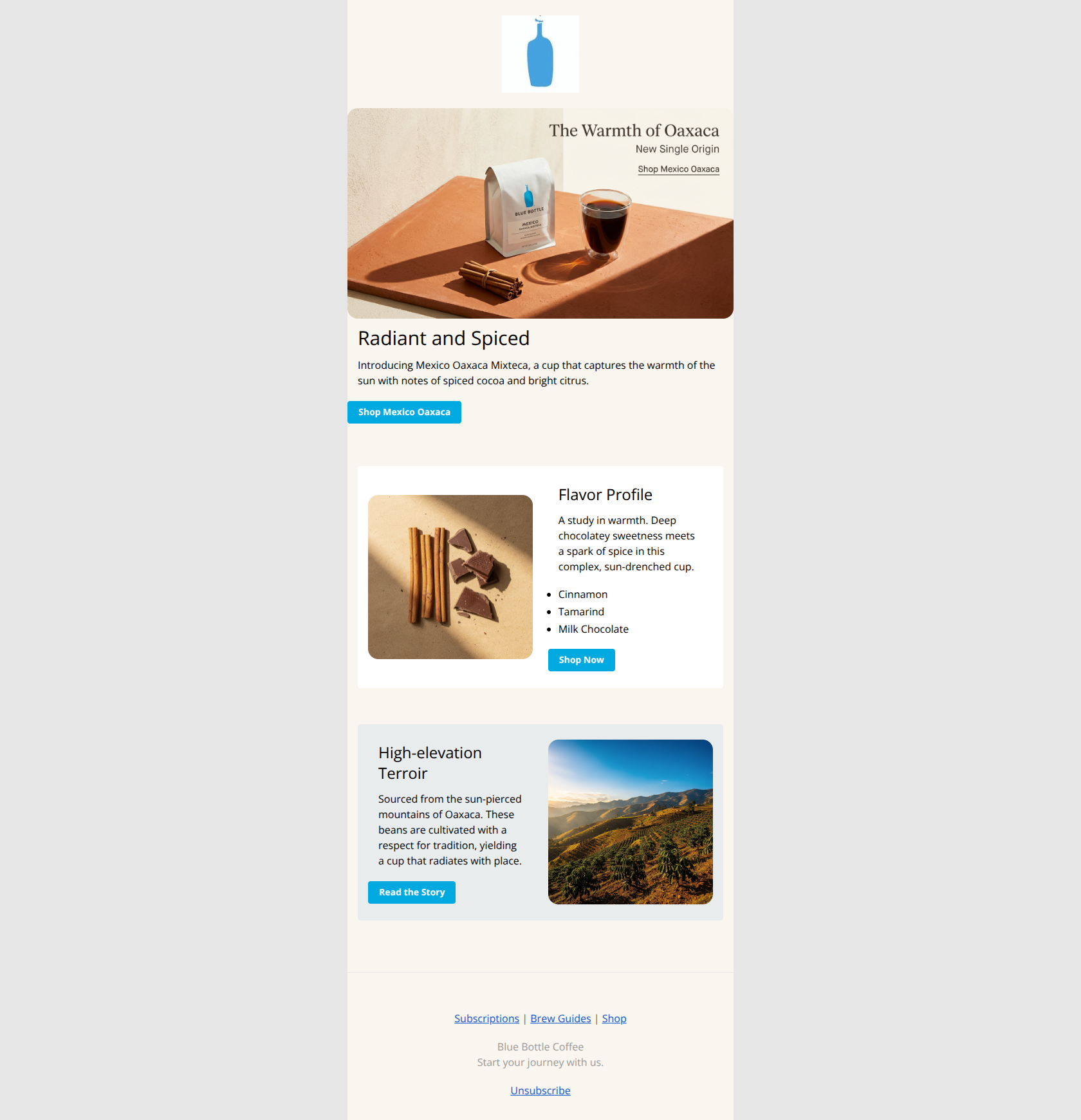 Email design: New: A radiant cup from Mexico Oaxaca