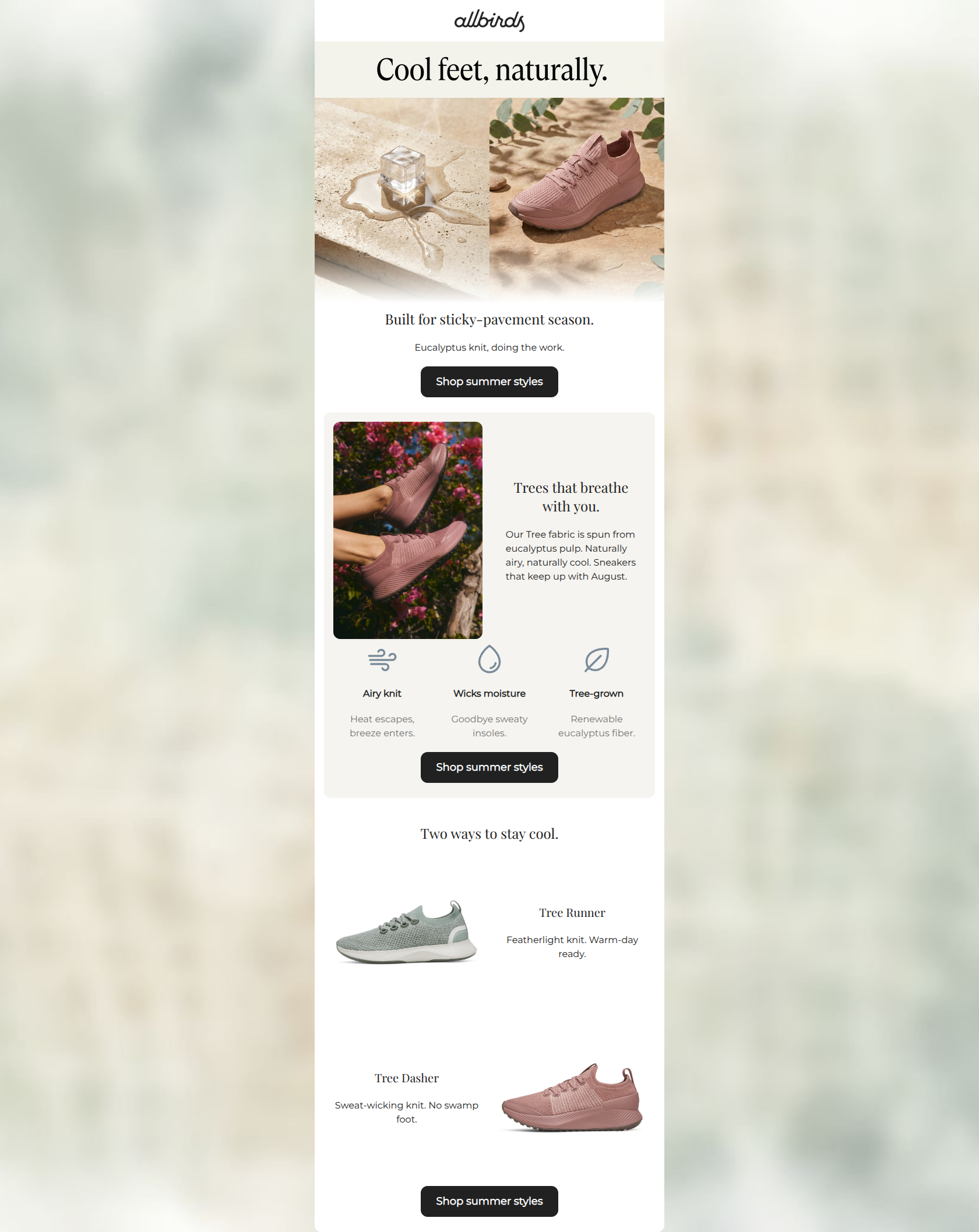 Email design: Sweaty feet season is here.