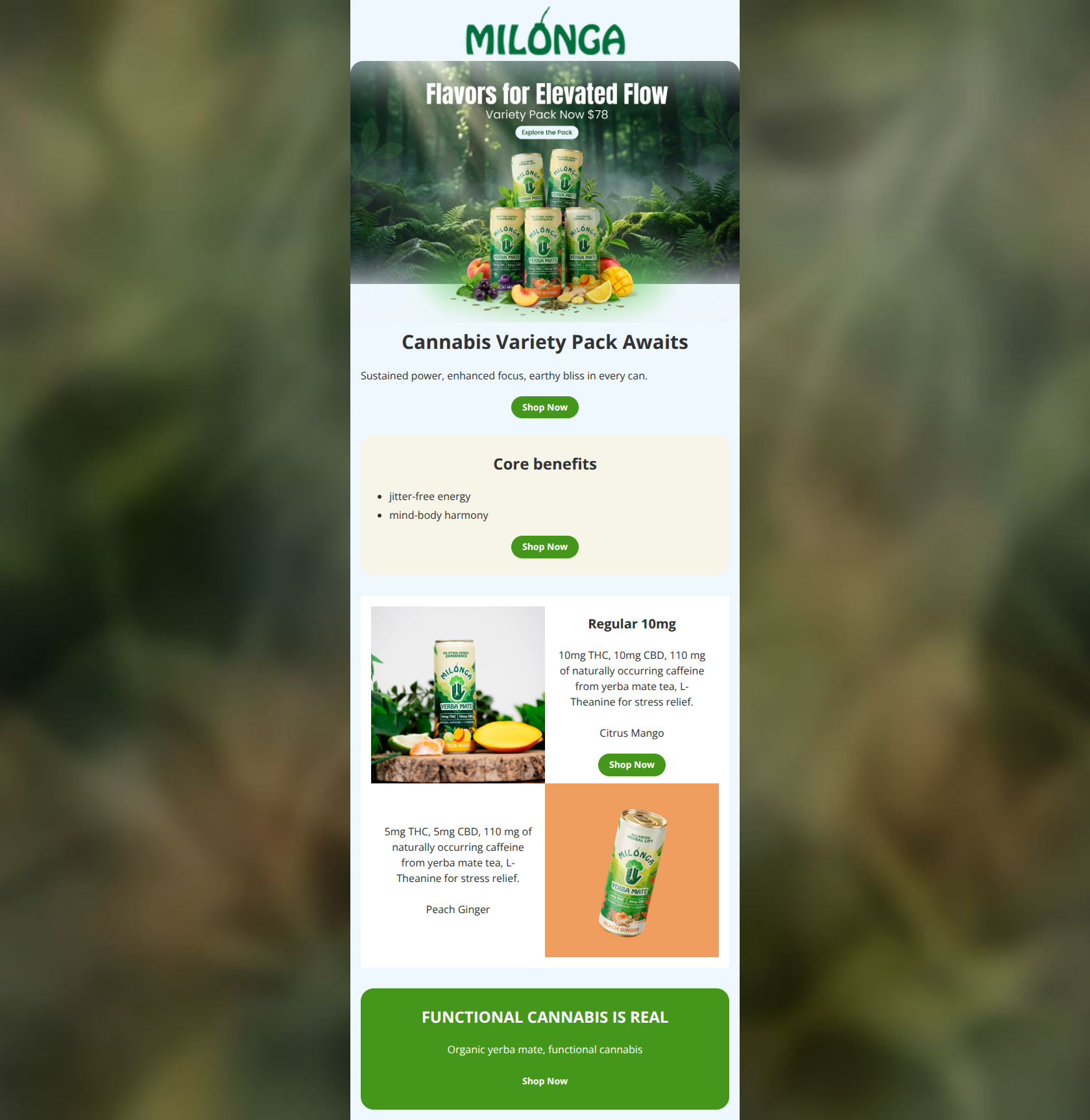 Email design: Unlock Balanced Elevation Variety