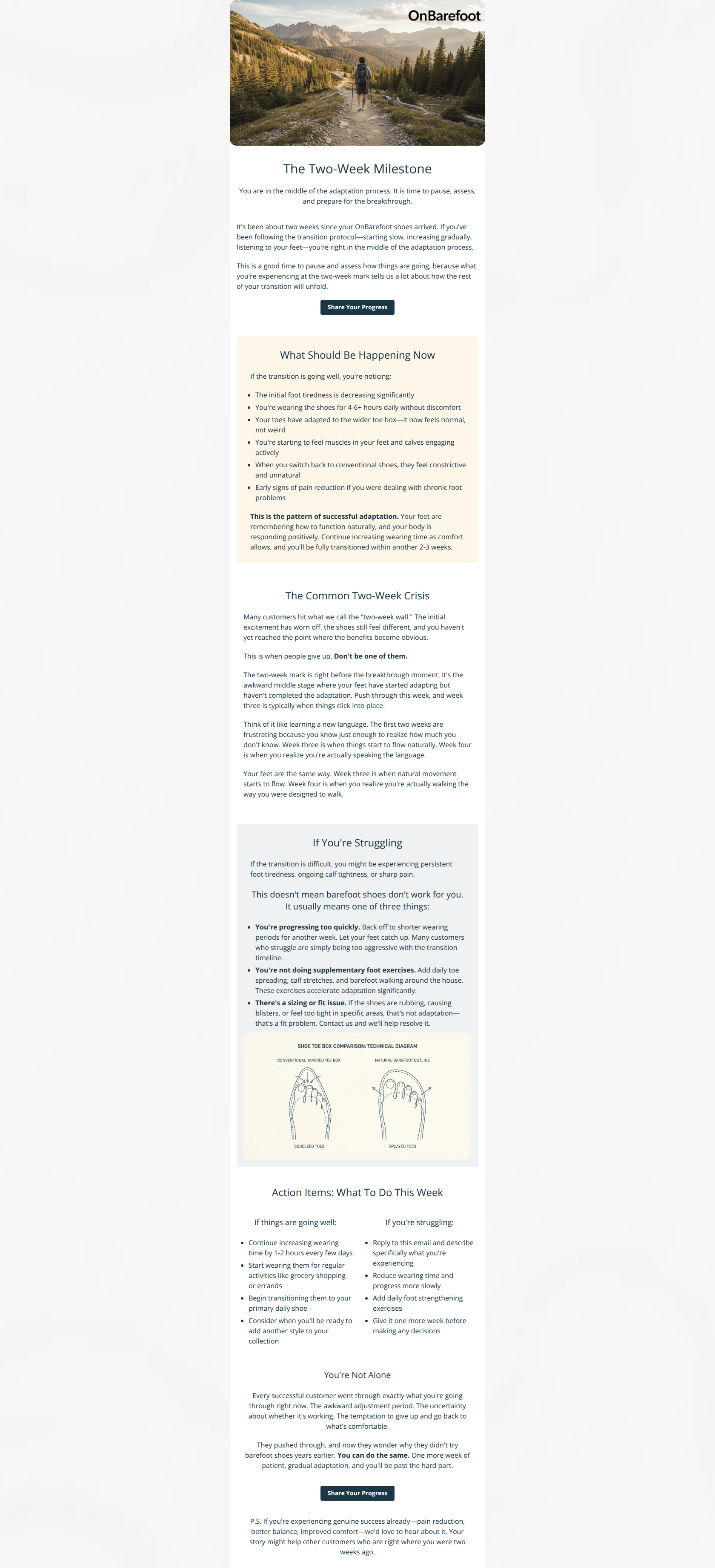 Email design: Post Purchase - Email 3