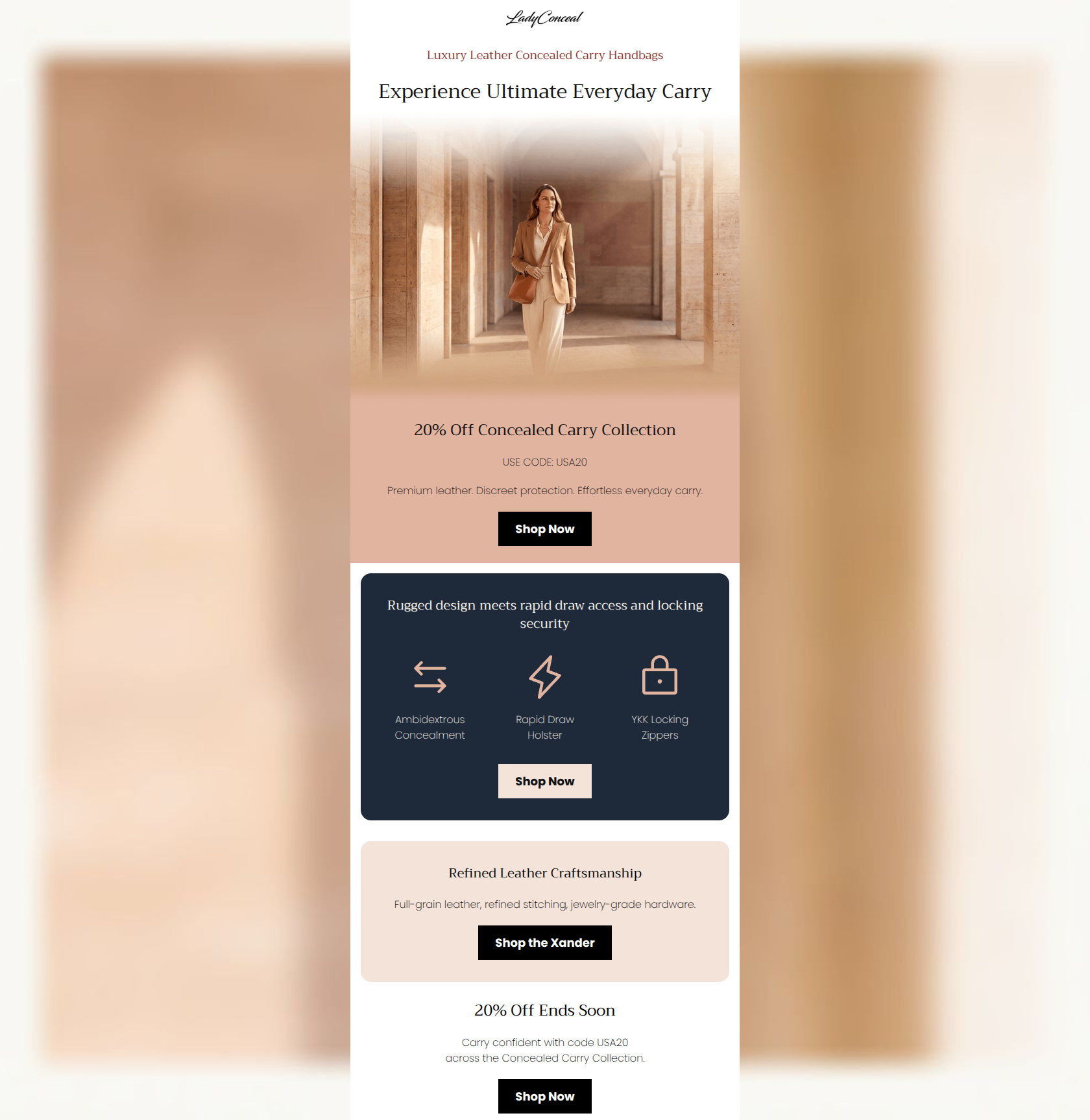 Email design: Meet Your New Favorite Carry Companion