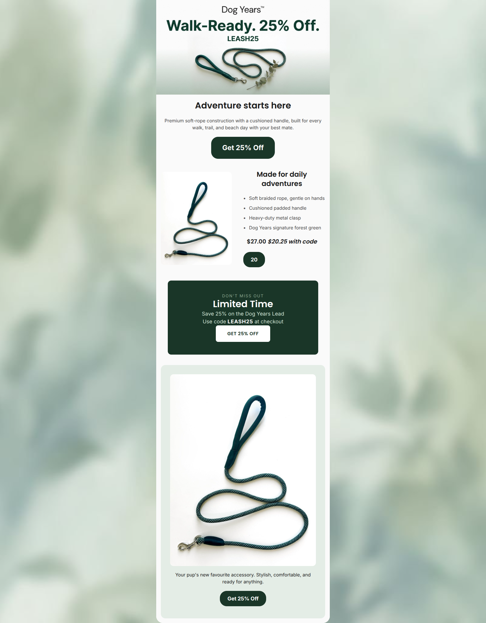 Email design: Your new walking partner, 25% off