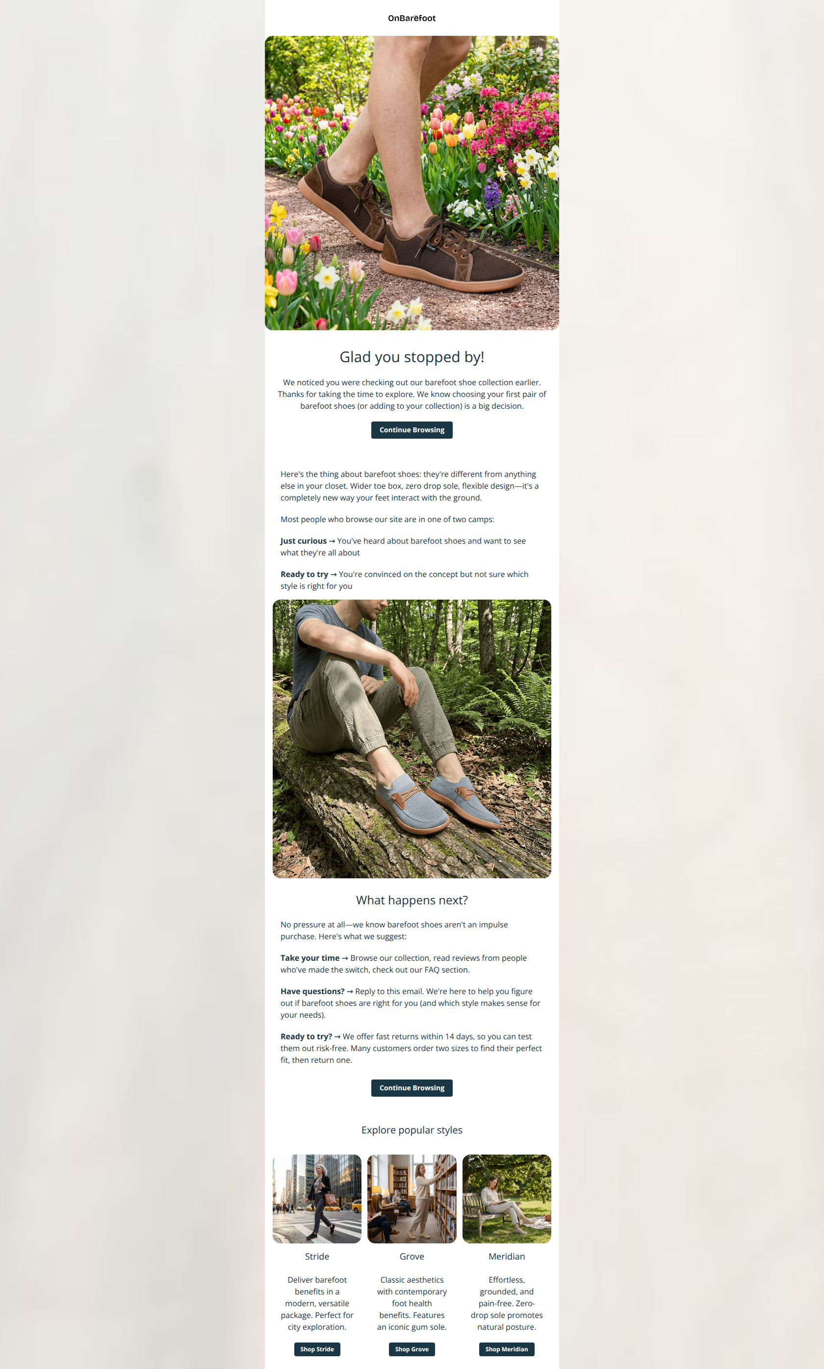 Email design: Browse Abandonment - Email 1